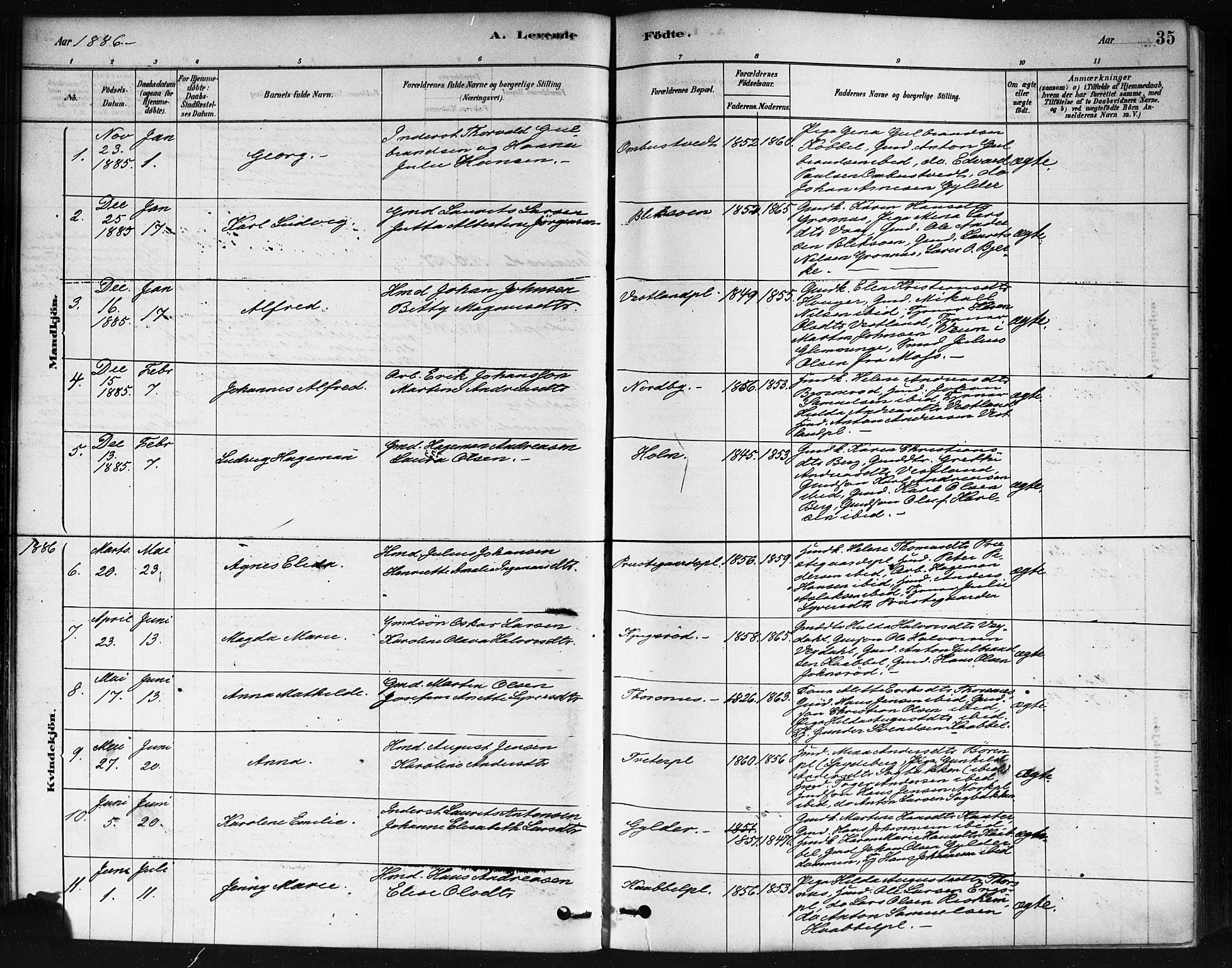 Våler prestekontor Kirkebøker, AV/SAO-A-11083/F/Fa/L0010: Ministerialbok nr. I 10, 1878-1896, s. 35