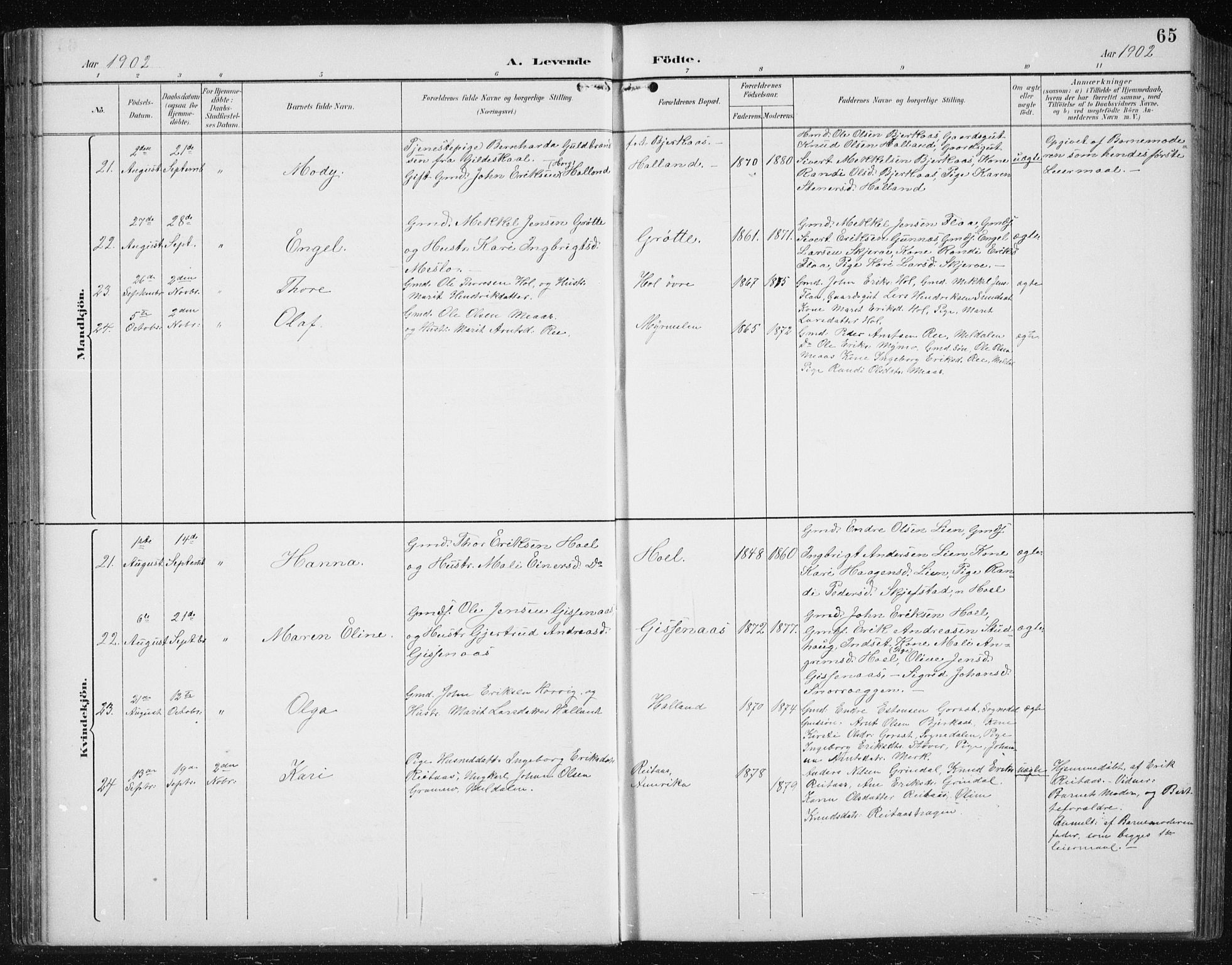 Ministerialprotokoller, klokkerbøker og fødselsregistre - Sør-Trøndelag, SAT/A-1456/674/L0876: Klokkerbok nr. 674C03, 1892-1912, s. 65