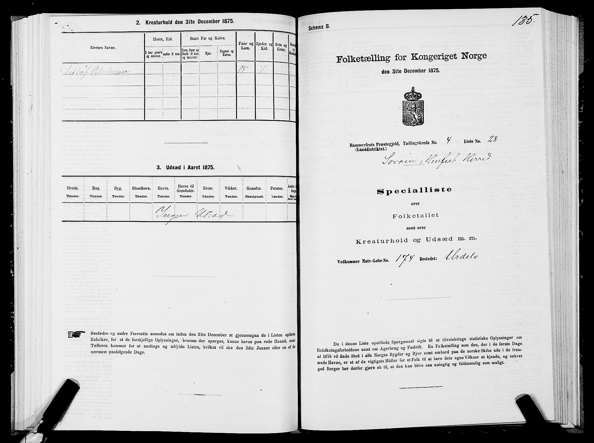 SATØ, Folketelling 1875 for 2016L Hammerfest prestegjeld, Hammerfest landsokn og Kvalsund sokn, 1875, s. 1135