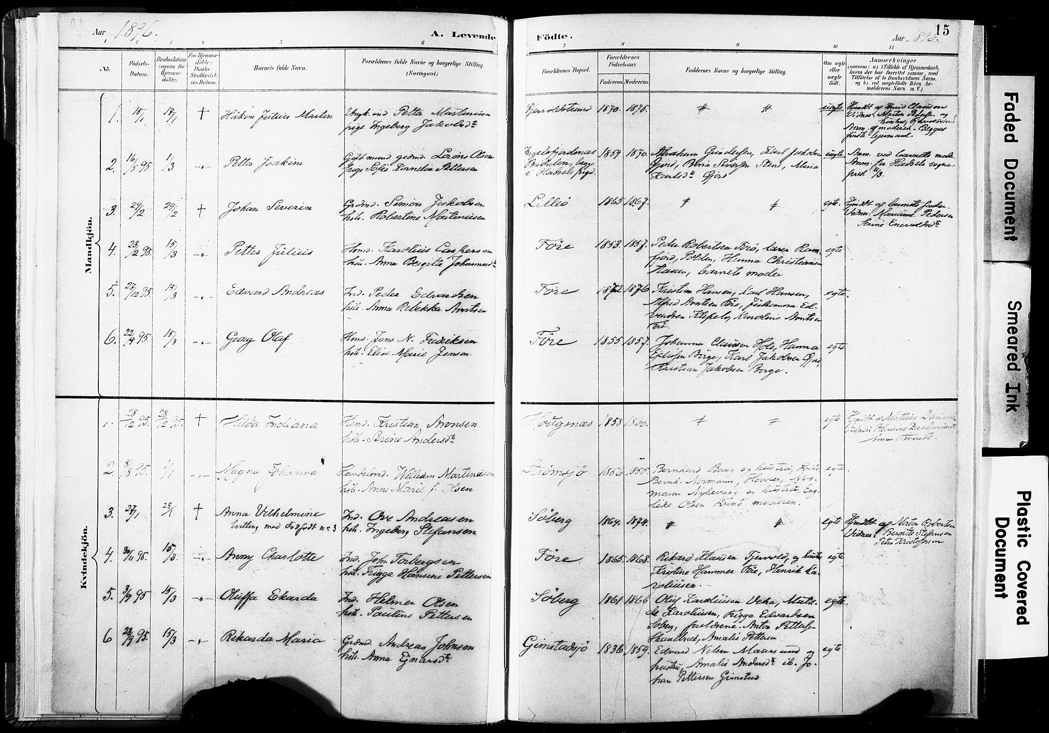 Ministerialprotokoller, klokkerbøker og fødselsregistre - Nordland, SAT/A-1459/891/L1304: Ministerialbok nr. 891A09, 1895-1921, s. 15