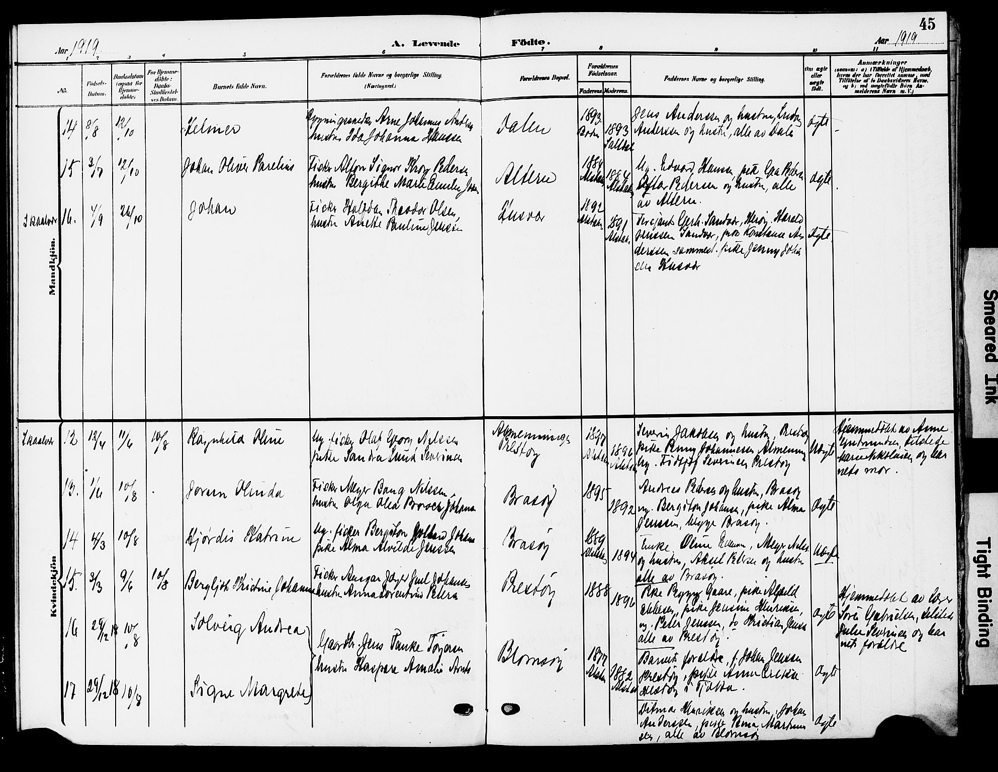 Ministerialprotokoller, klokkerbøker og fødselsregistre - Nordland, AV/SAT-A-1459/830/L0464: Klokkerbok nr. 830C06, 1906-1925, s. 45