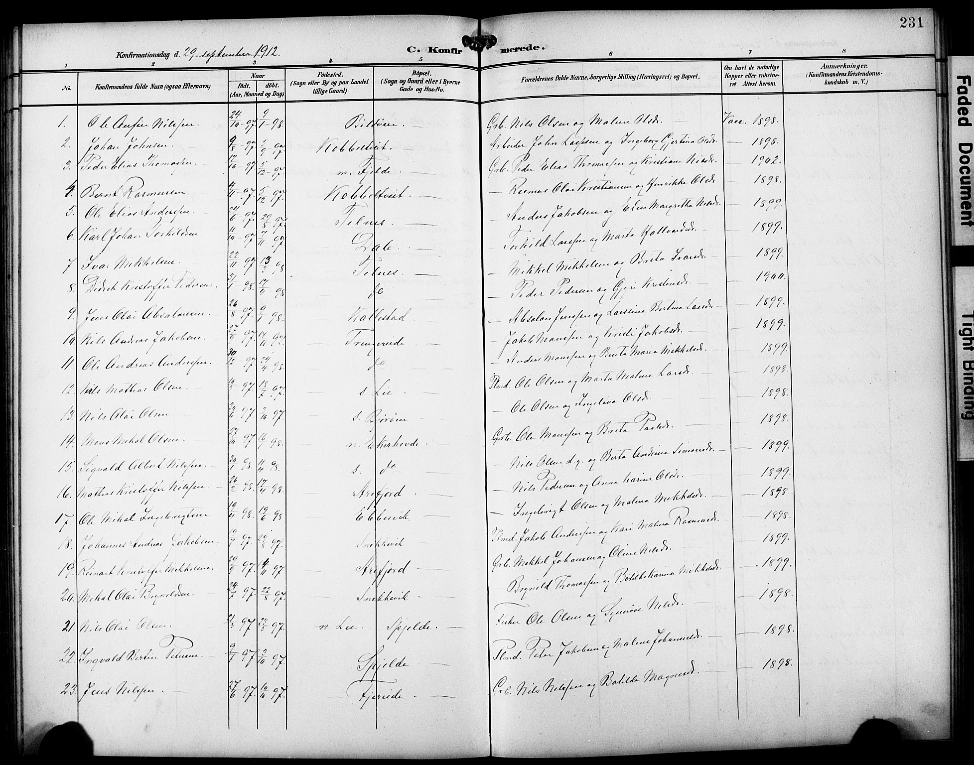 Fjell sokneprestembete, AV/SAB-A-75301/H/Hab: Klokkerbok nr. A 5, 1899-1918, s. 231