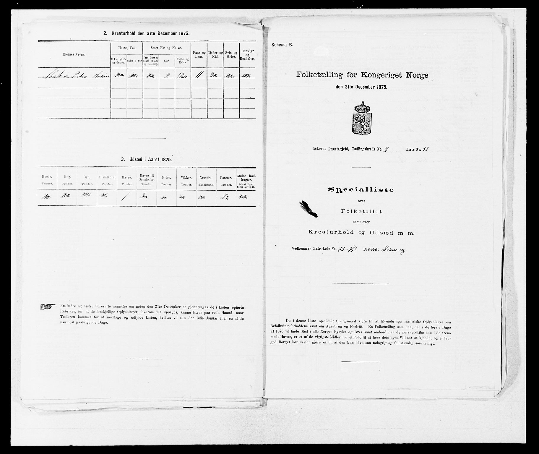 SAB, Folketelling 1875 for 1247P Askøy prestegjeld, 1875, s. 247