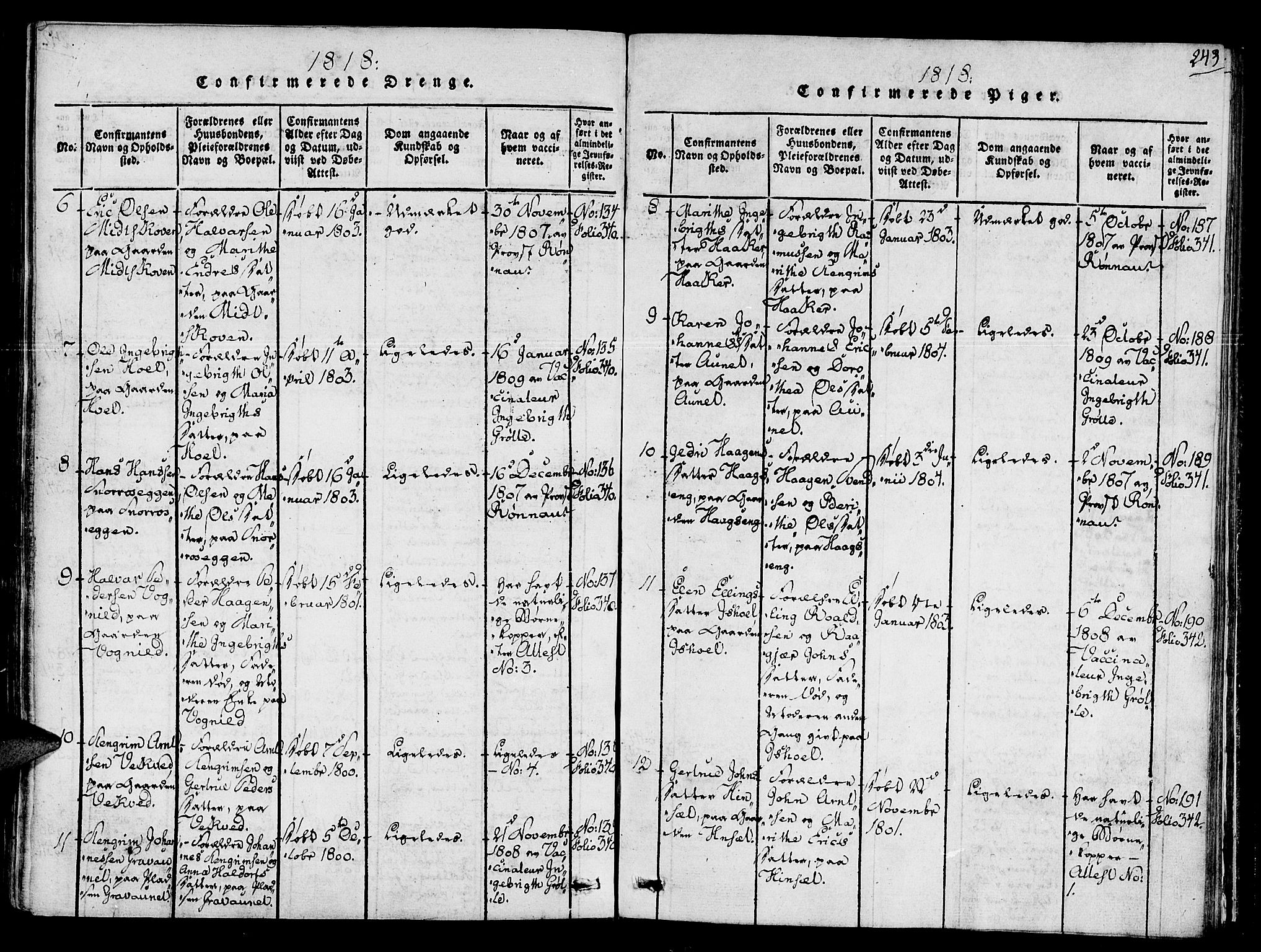 Ministerialprotokoller, klokkerbøker og fødselsregistre - Sør-Trøndelag, SAT/A-1456/678/L0895: Ministerialbok nr. 678A05 /1, 1816-1821, s. 243