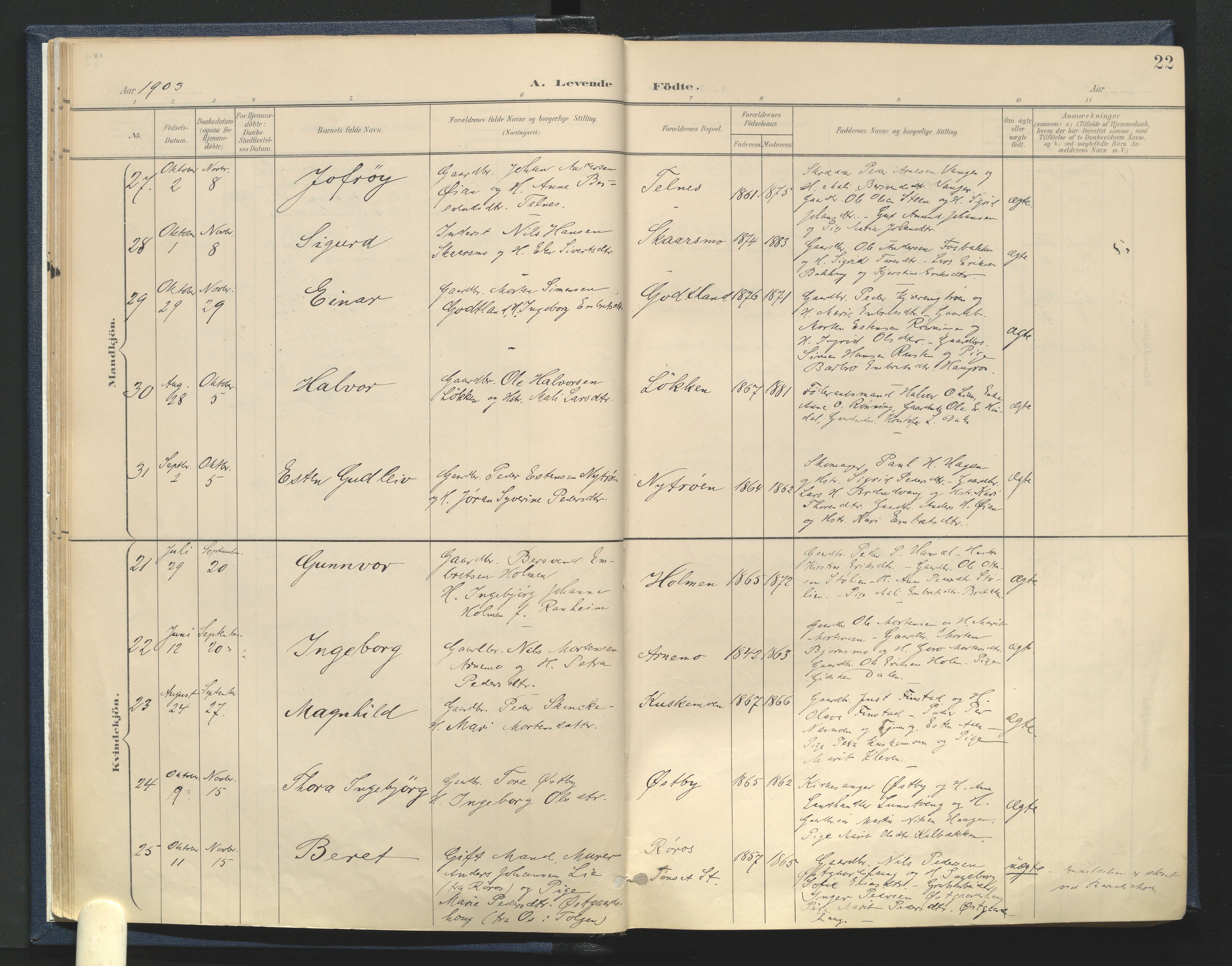 Tynset prestekontor, AV/SAH-PREST-058/H/Ha/Haa/L0025: Ministerialbok nr. 25, 1900-1914, s. 22