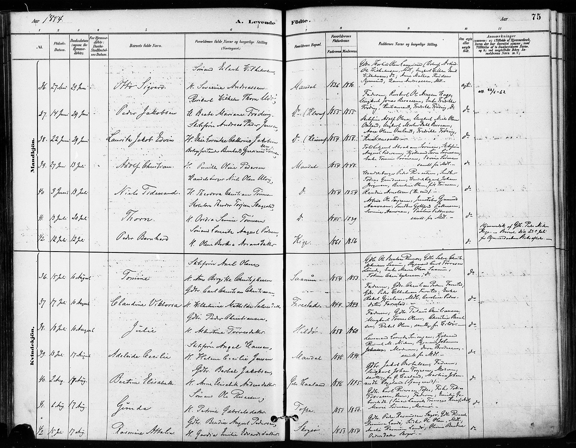 Mandal sokneprestkontor, AV/SAK-1111-0030/F/Fa/Faa/L0016: Ministerialbok nr. A 16, 1880-1890, s. 75
