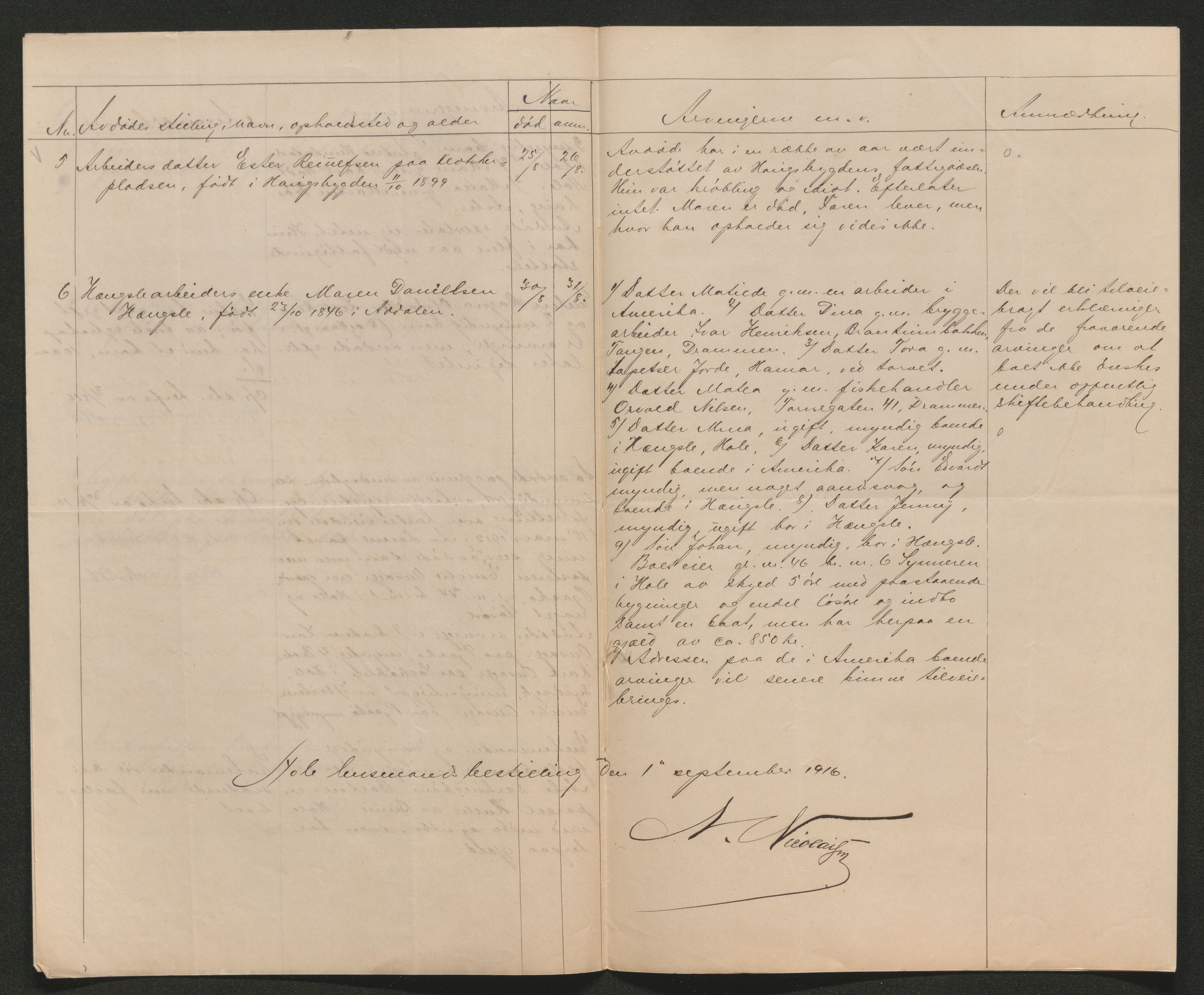 Ringerike sorenskriveri, AV/SAKO-A-105/H/Ha/Hab/L0019: Dødsfallslister Hole, 1842-1917