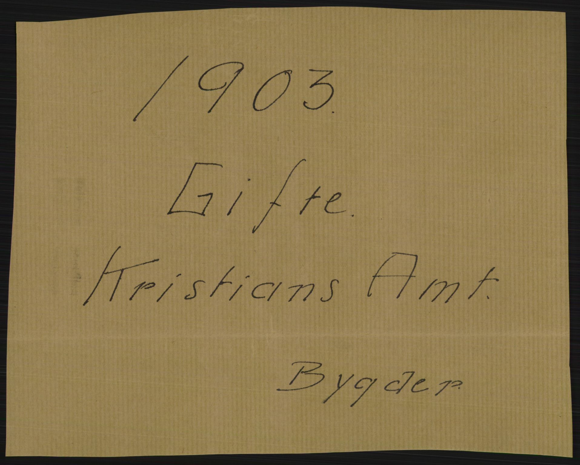 Statistisk sentralbyrå, Sosiodemografiske emner, Befolkning, AV/RA-S-2228/D/Df/Dfa/Dfaa/L0006: Kristians amt: Fødte, gifte, døde, 1903, s. 417