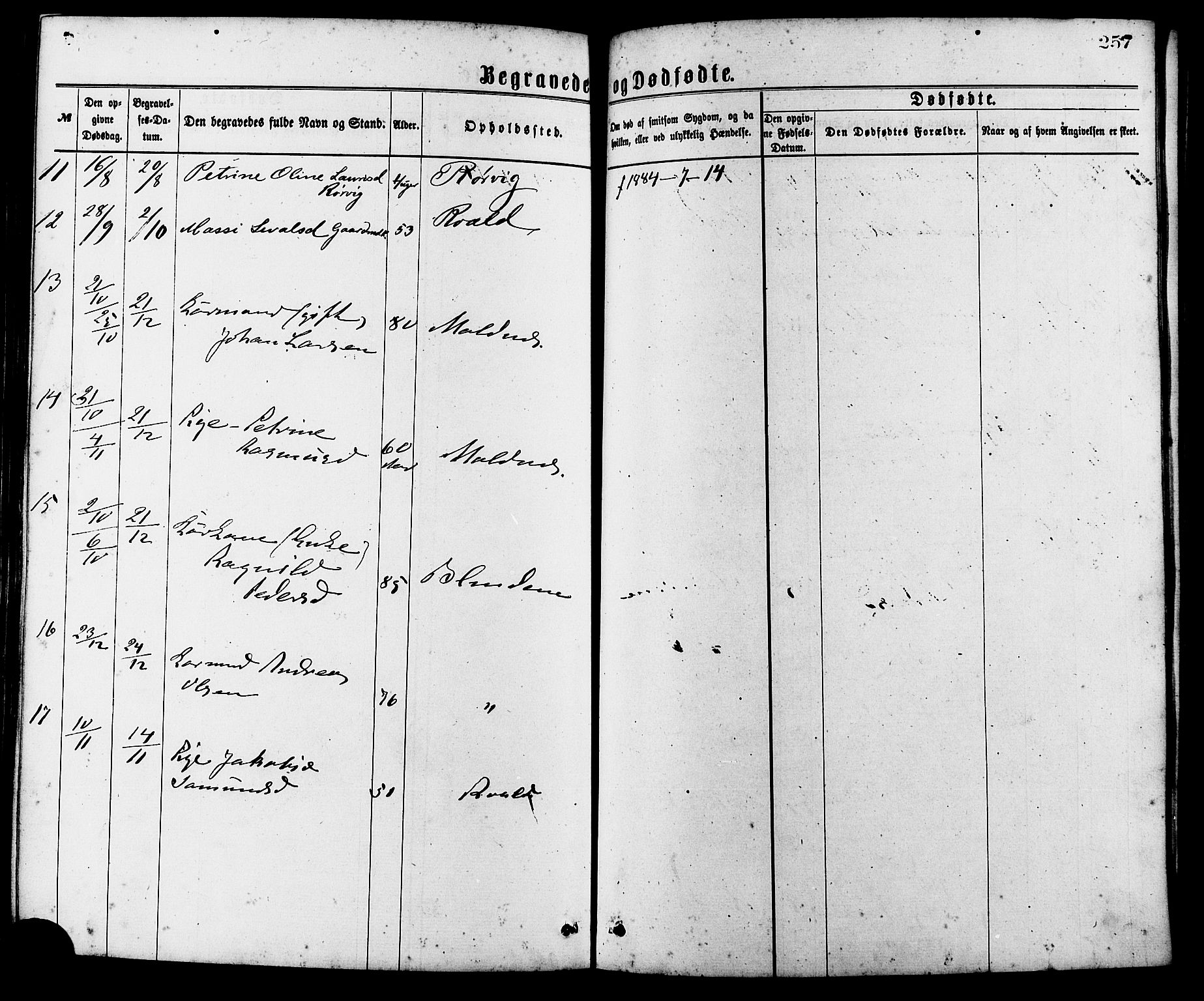 Ministerialprotokoller, klokkerbøker og fødselsregistre - Møre og Romsdal, SAT/A-1454/537/L0519: Ministerialbok nr. 537A03, 1876-1889, s. 257