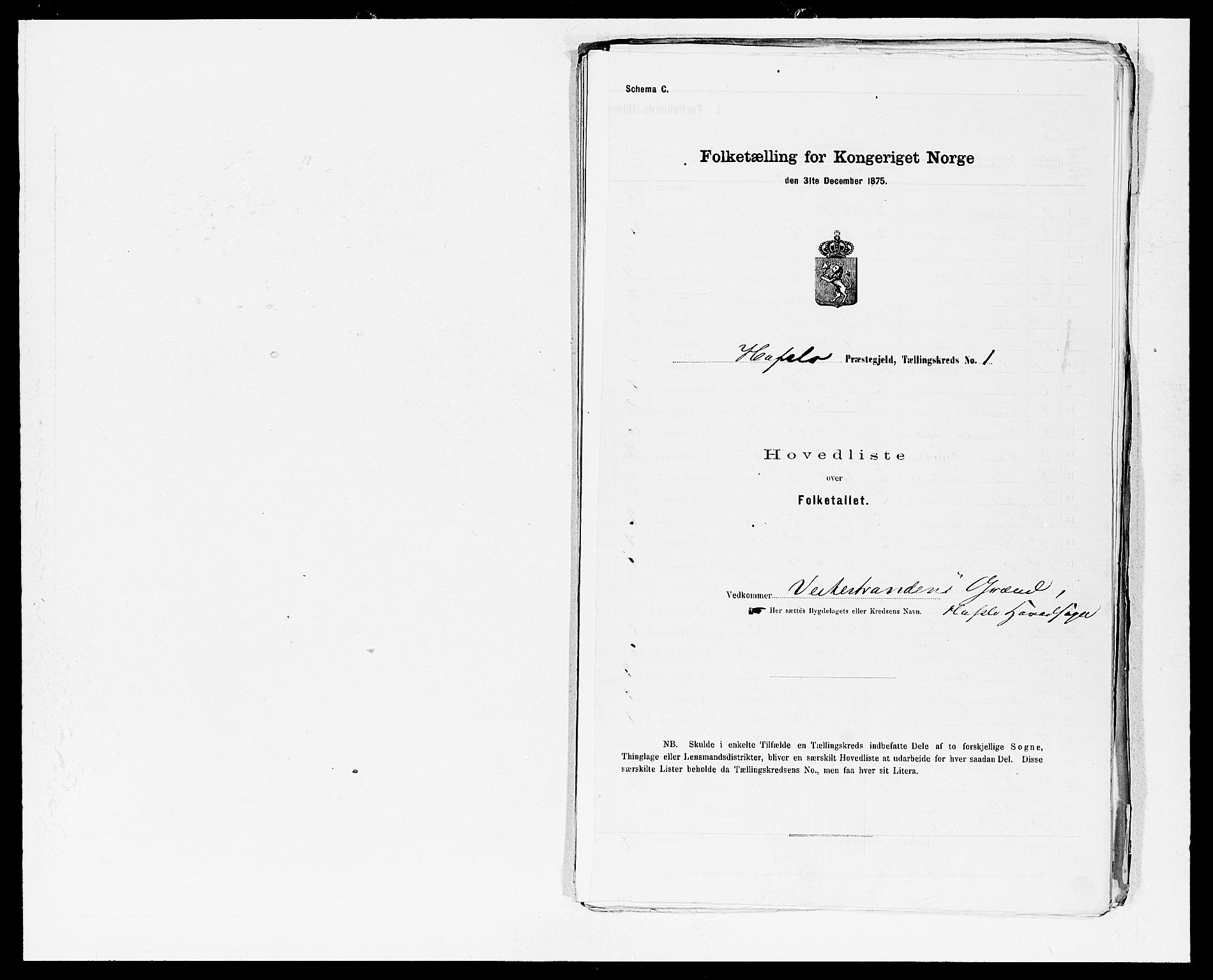SAB, Folketelling 1875 for 1425P Hafslo prestegjeld, 1875, s. 2
