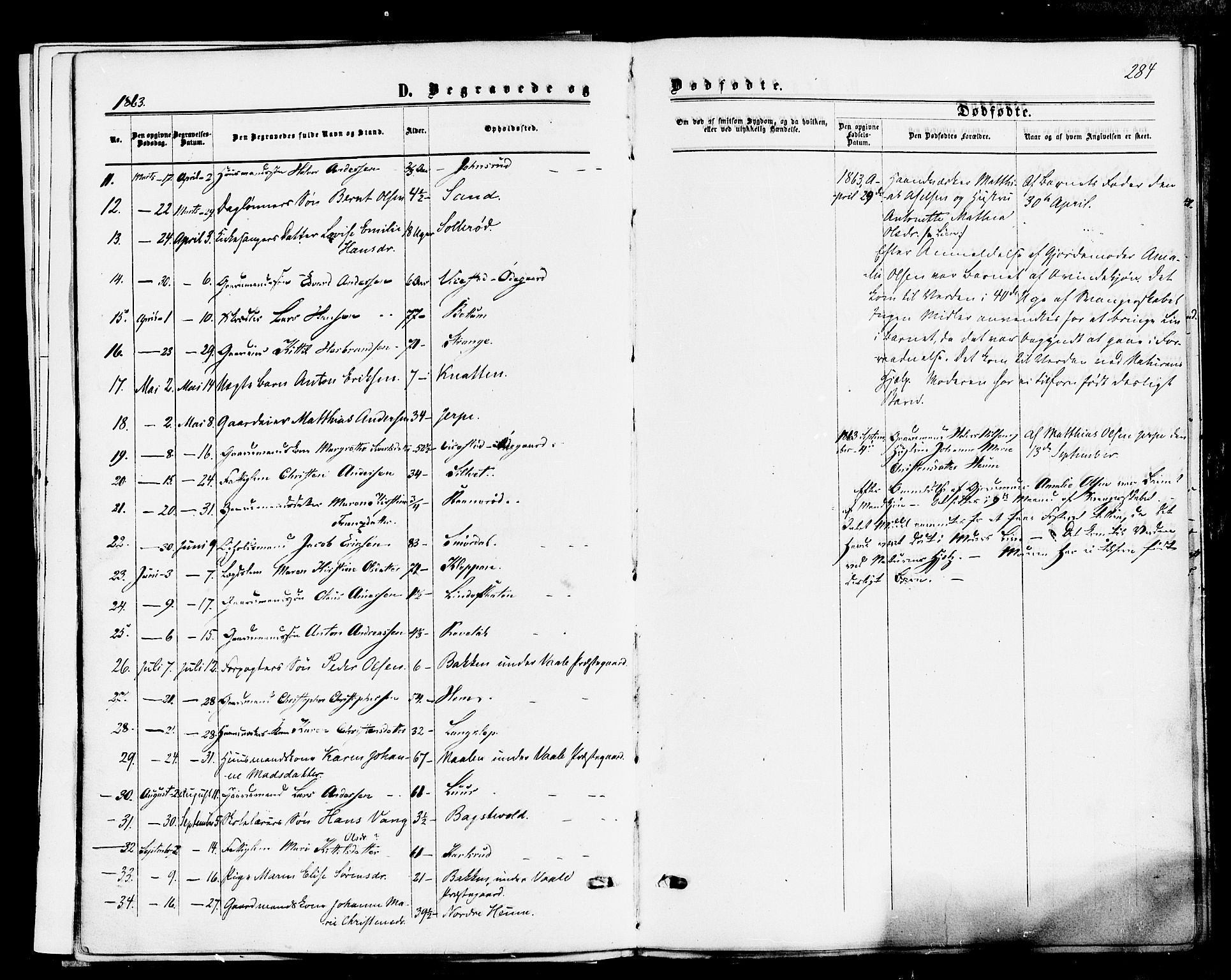 Våle kirkebøker, AV/SAKO-A-334/F/Fa/L0010: Ministerialbok nr. I 10, 1861-1877, s. 284