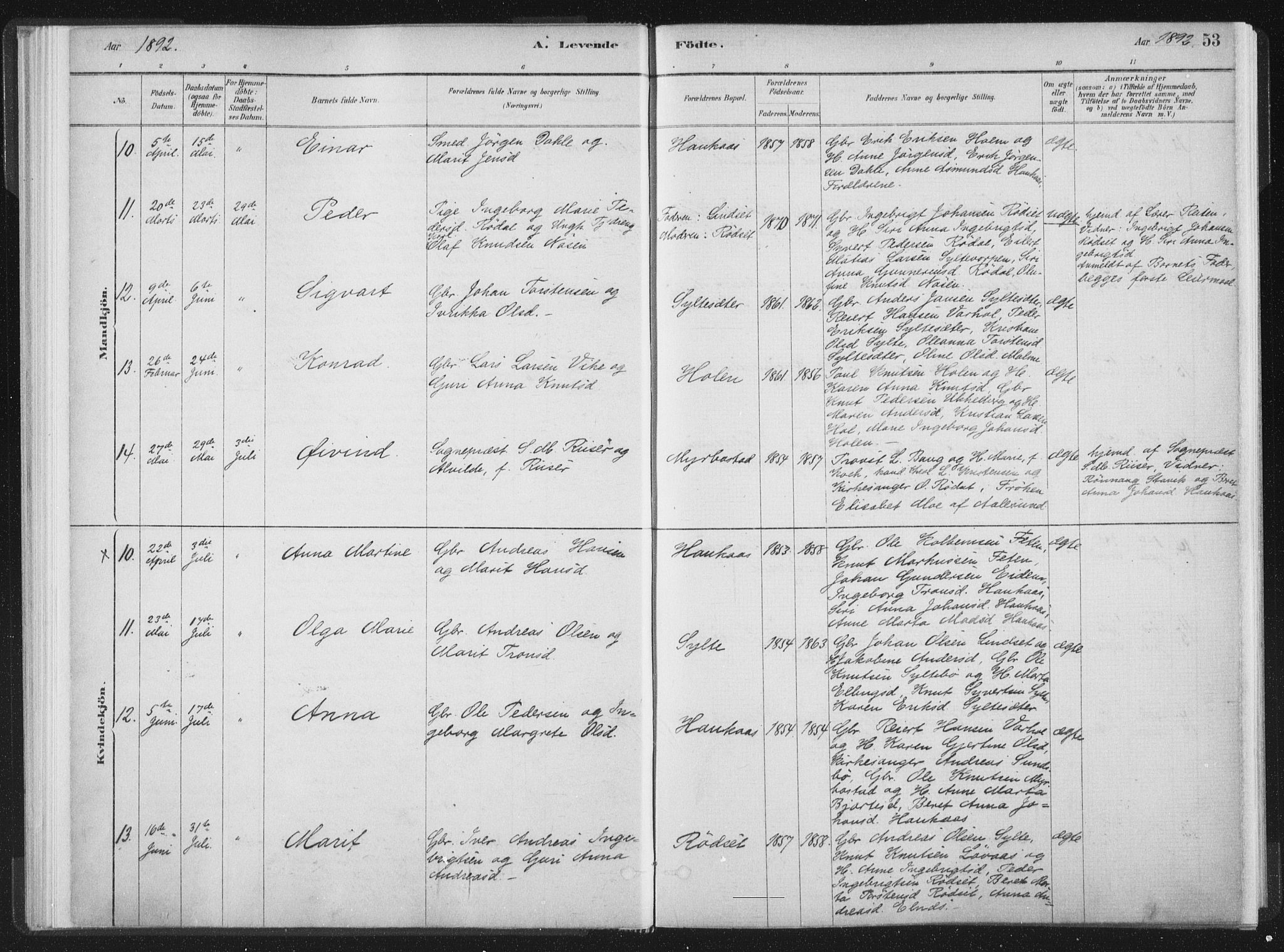 Ministerialprotokoller, klokkerbøker og fødselsregistre - Møre og Romsdal, AV/SAT-A-1454/564/L0740: Ministerialbok nr. 564A01, 1880-1899, s. 53