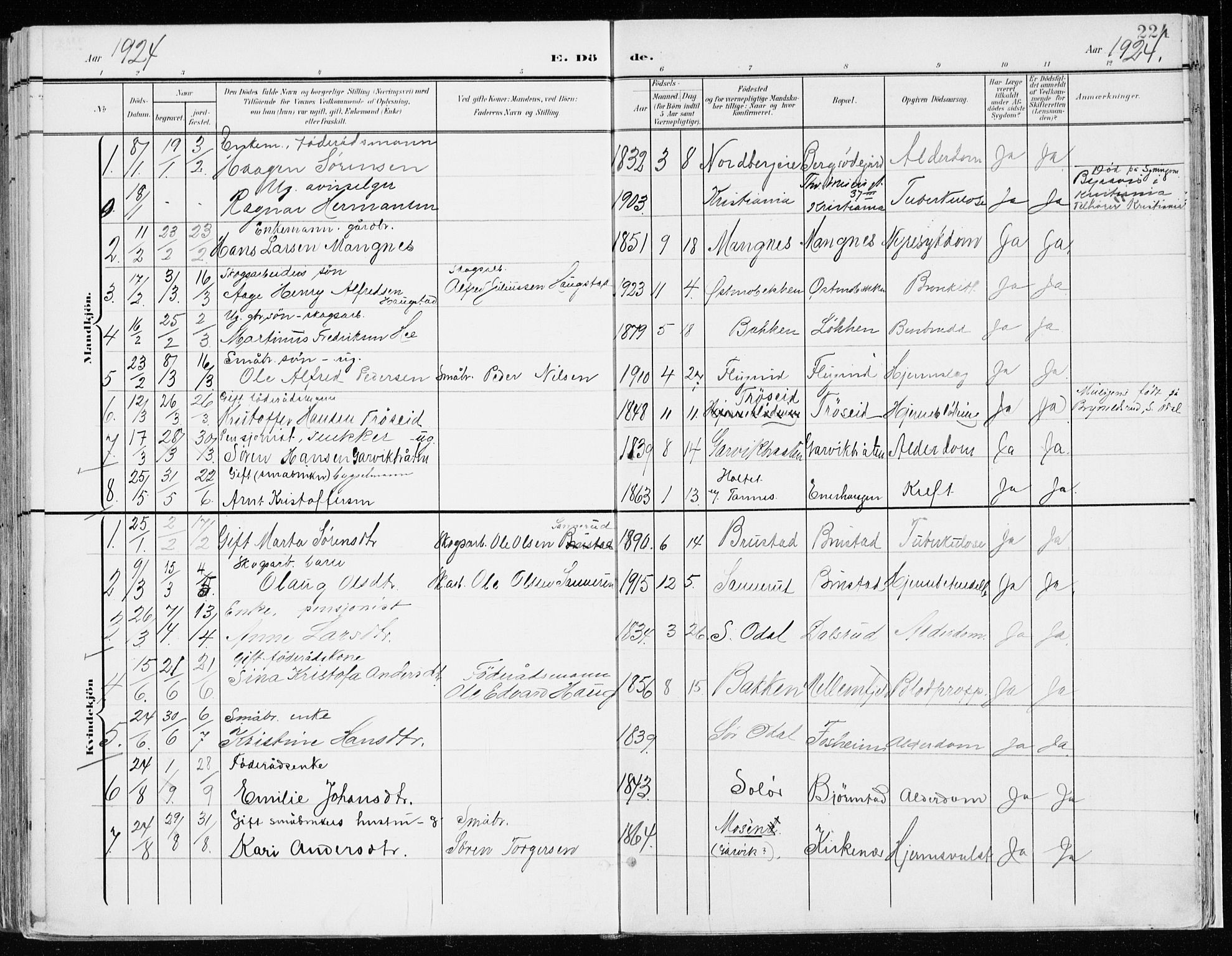 Nord-Odal prestekontor, SAH/PREST-032/H/Ha/Haa/L0009: Ministerialbok nr. 9, 1902-1926, s. 224