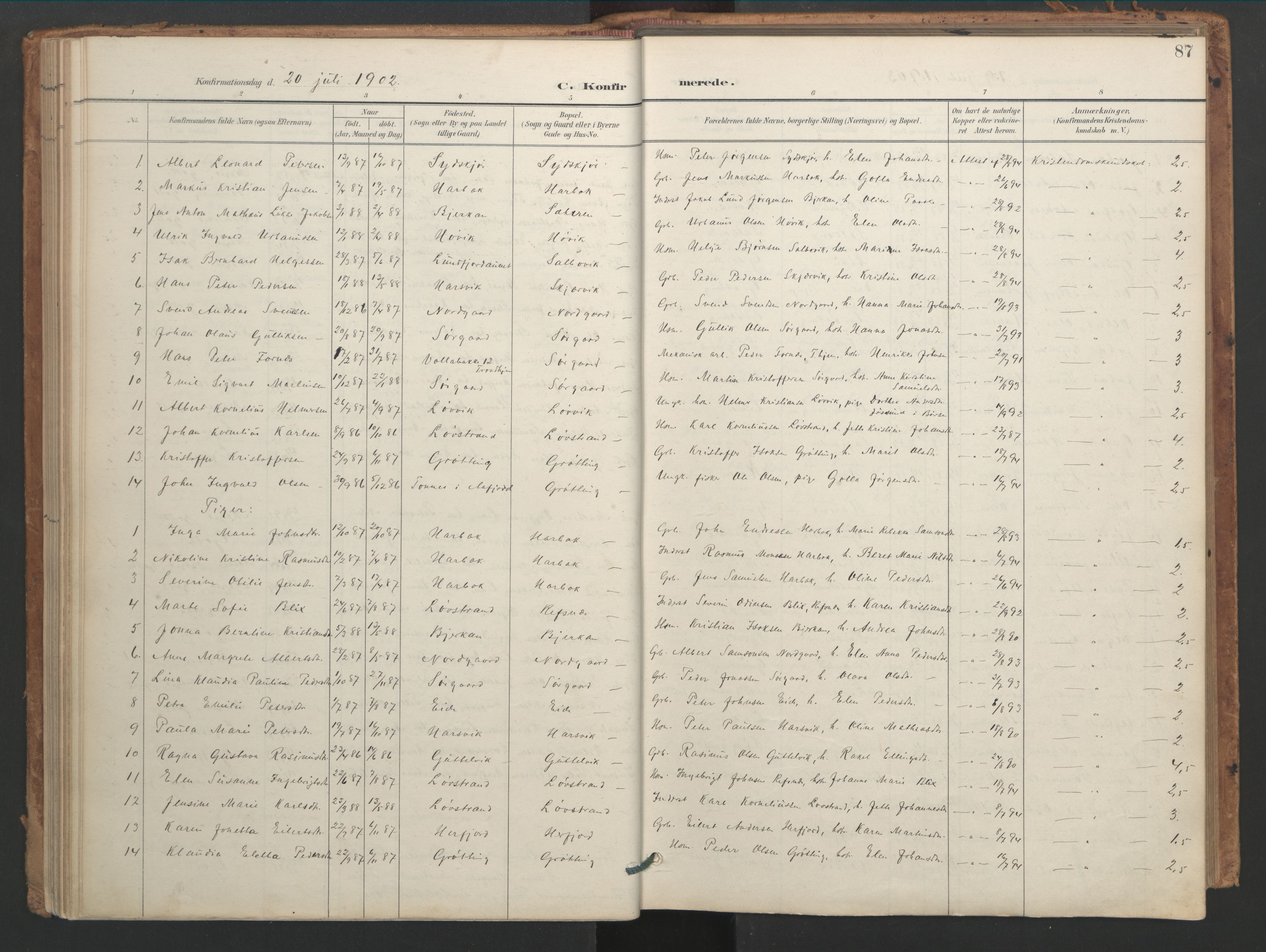 Ministerialprotokoller, klokkerbøker og fødselsregistre - Sør-Trøndelag, AV/SAT-A-1456/656/L0693: Ministerialbok nr. 656A02, 1894-1913, s. 87