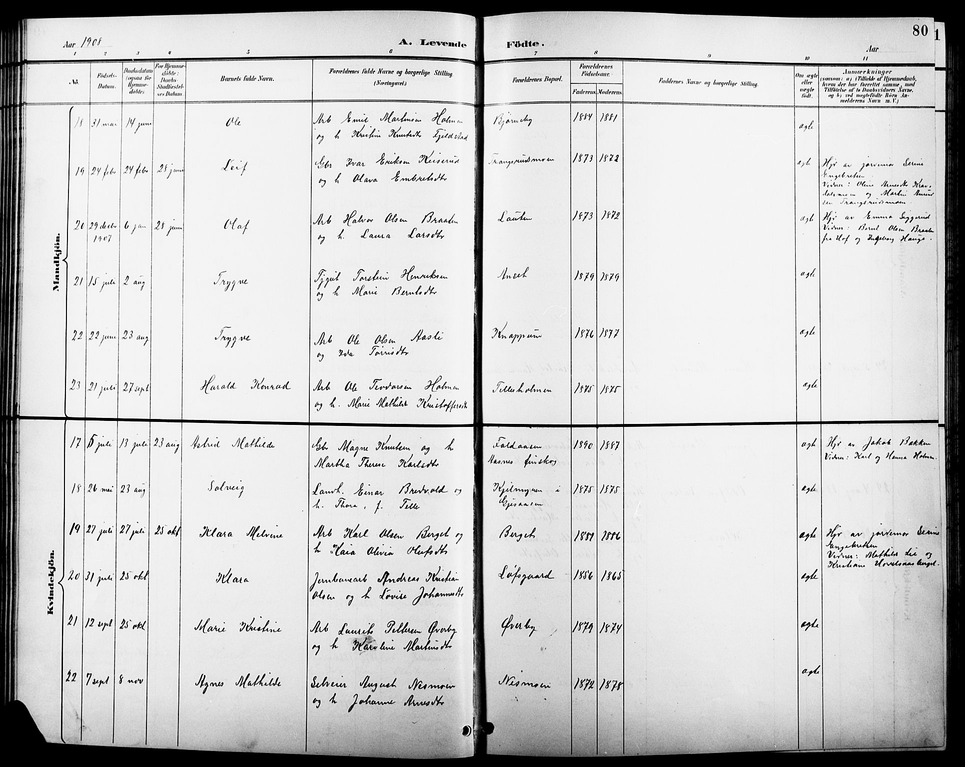 Åsnes prestekontor, AV/SAH-PREST-042/H/Ha/Hab/L0004: Klokkerbok nr. 4, 1895-1909, s. 80