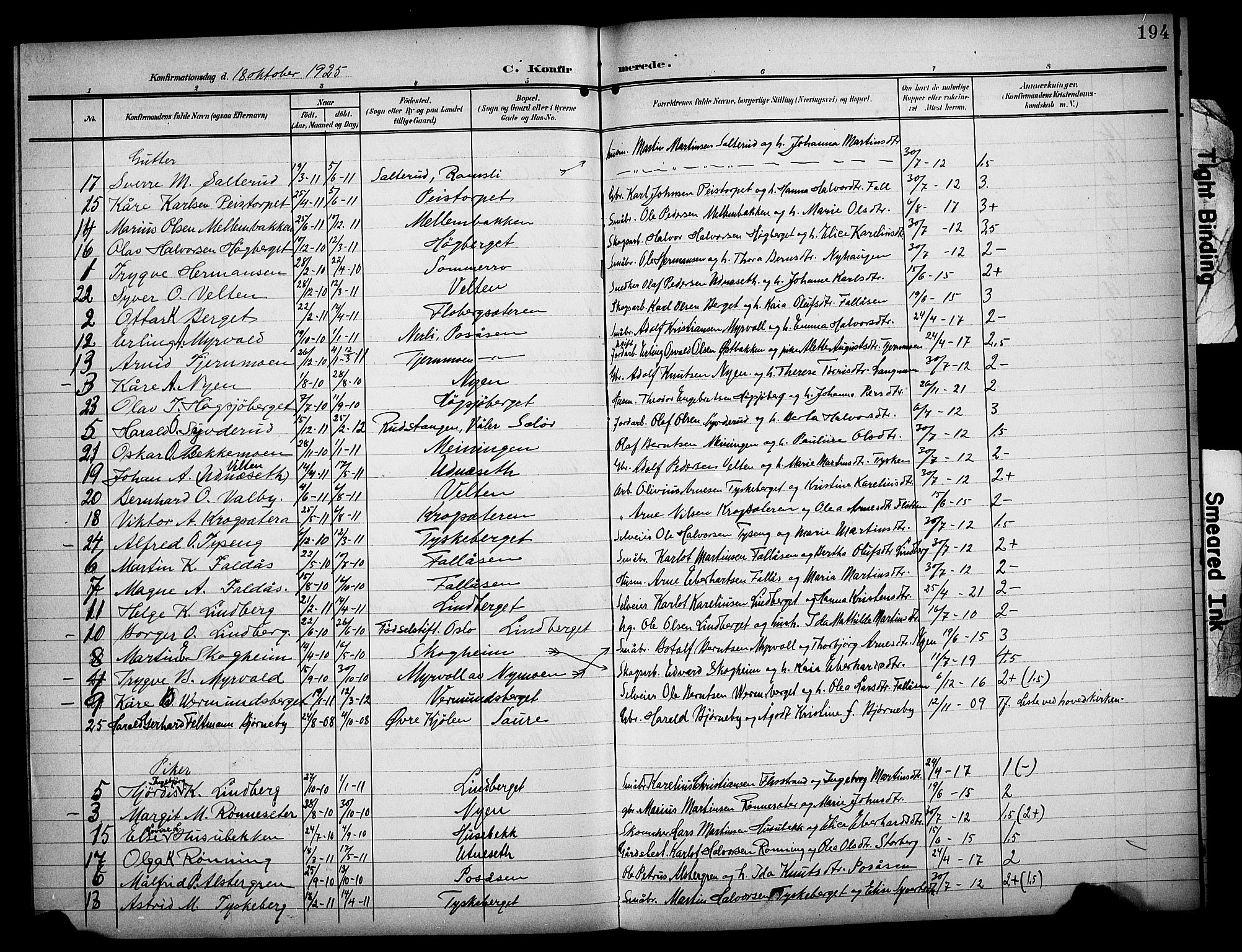 Åsnes prestekontor, AV/SAH-PREST-042/H/Ha/Hab/L0006: Klokkerbok nr. 6, 1903-1929, s. 194