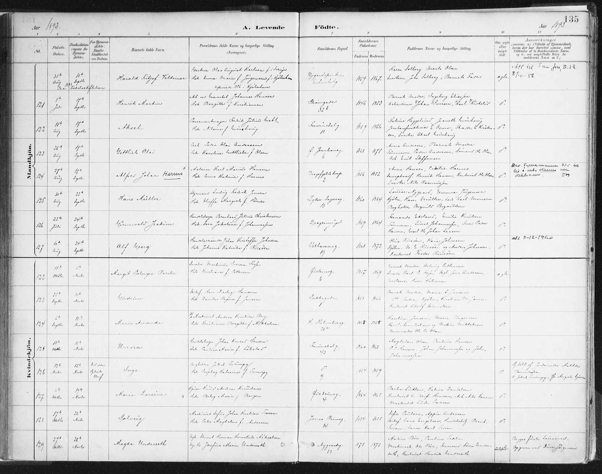 Johanneskirken sokneprestembete, AV/SAB-A-76001/H/Haa/L0001: Ministerialbok nr. A 1, 1885-1900, s. 135