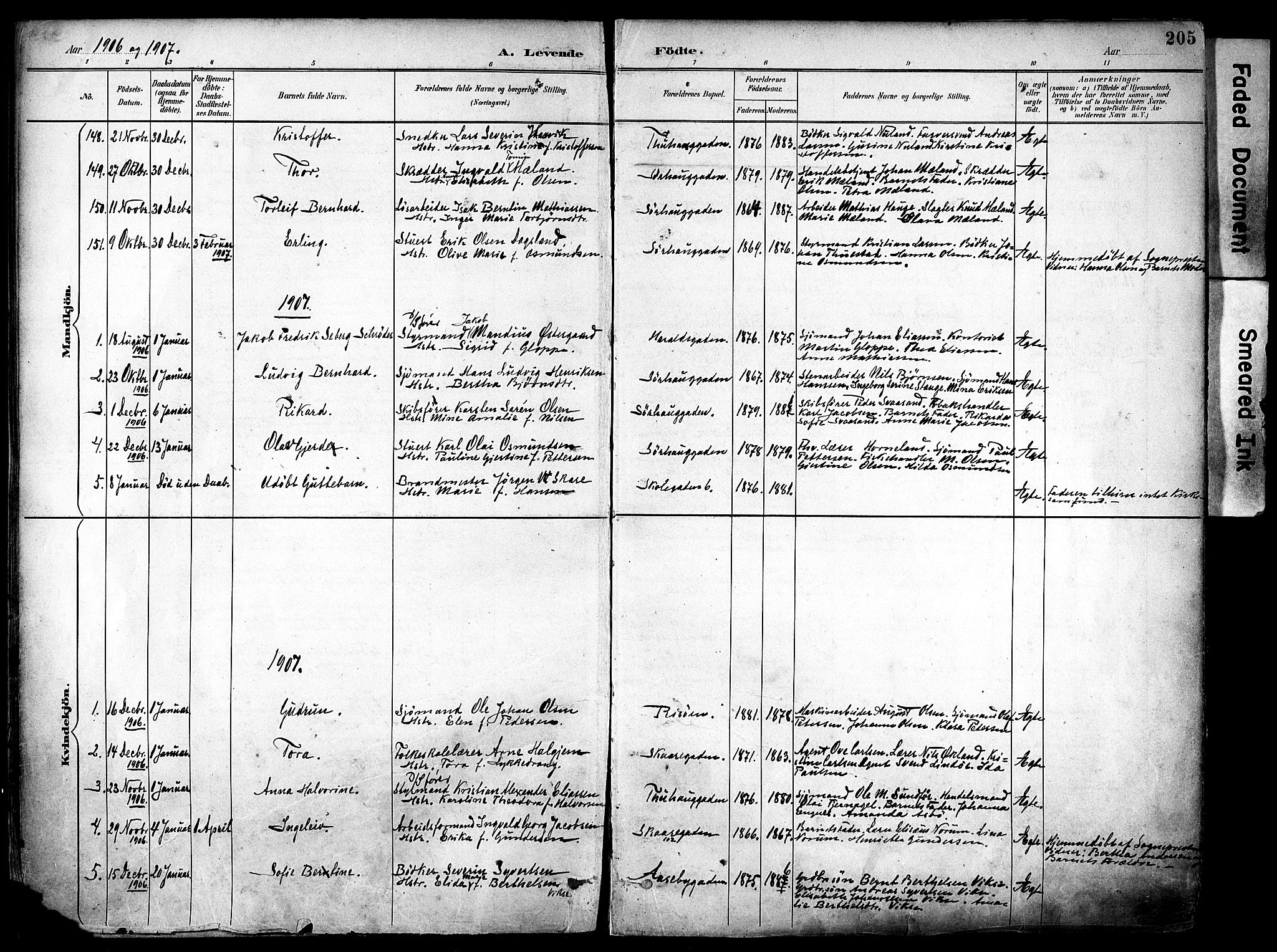 Haugesund sokneprestkontor, AV/SAST-A -101863/H/Ha/Haa/L0006: Ministerialbok nr. A 6, 1891-1907, s. 205