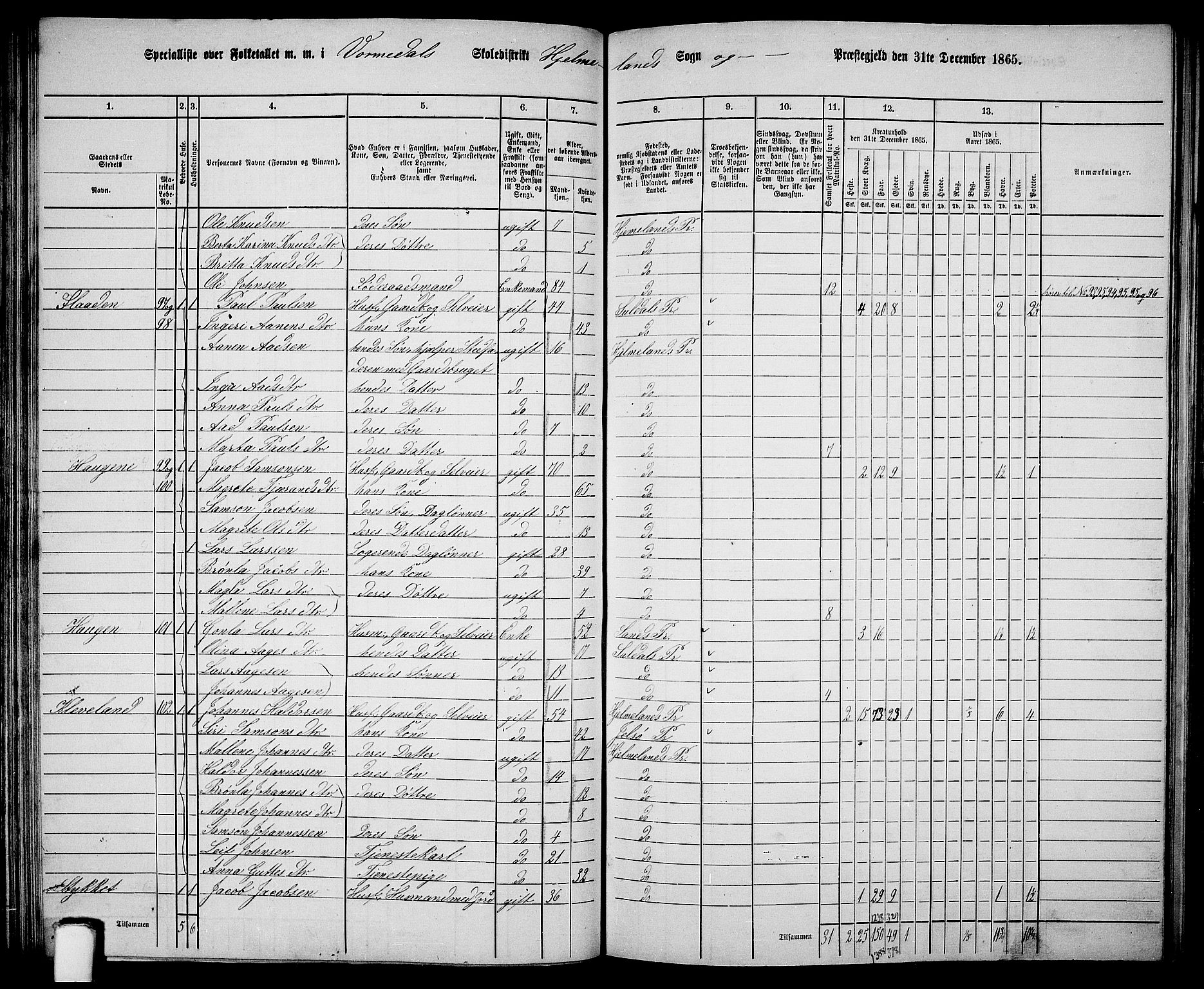RA, Folketelling 1865 for 1133P Hjelmeland prestegjeld, 1865, s. 66