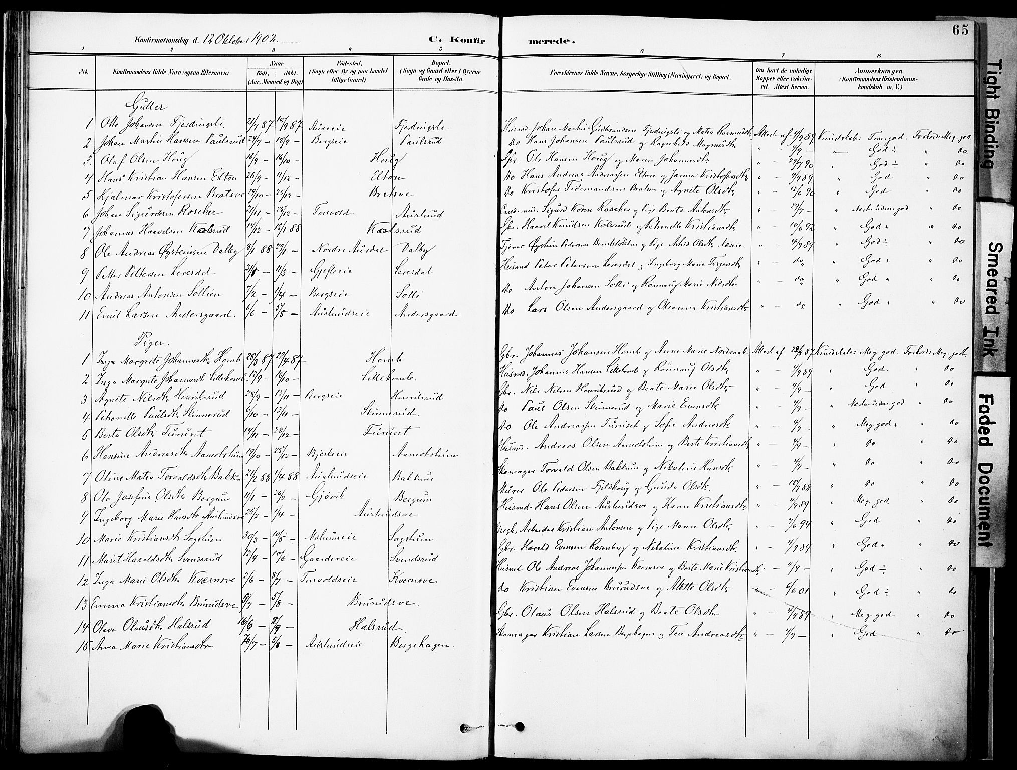 Nordre Land prestekontor, AV/SAH-PREST-124/H/Ha/Haa/L0006: Ministerialbok nr. 6, 1897-1914, s. 65