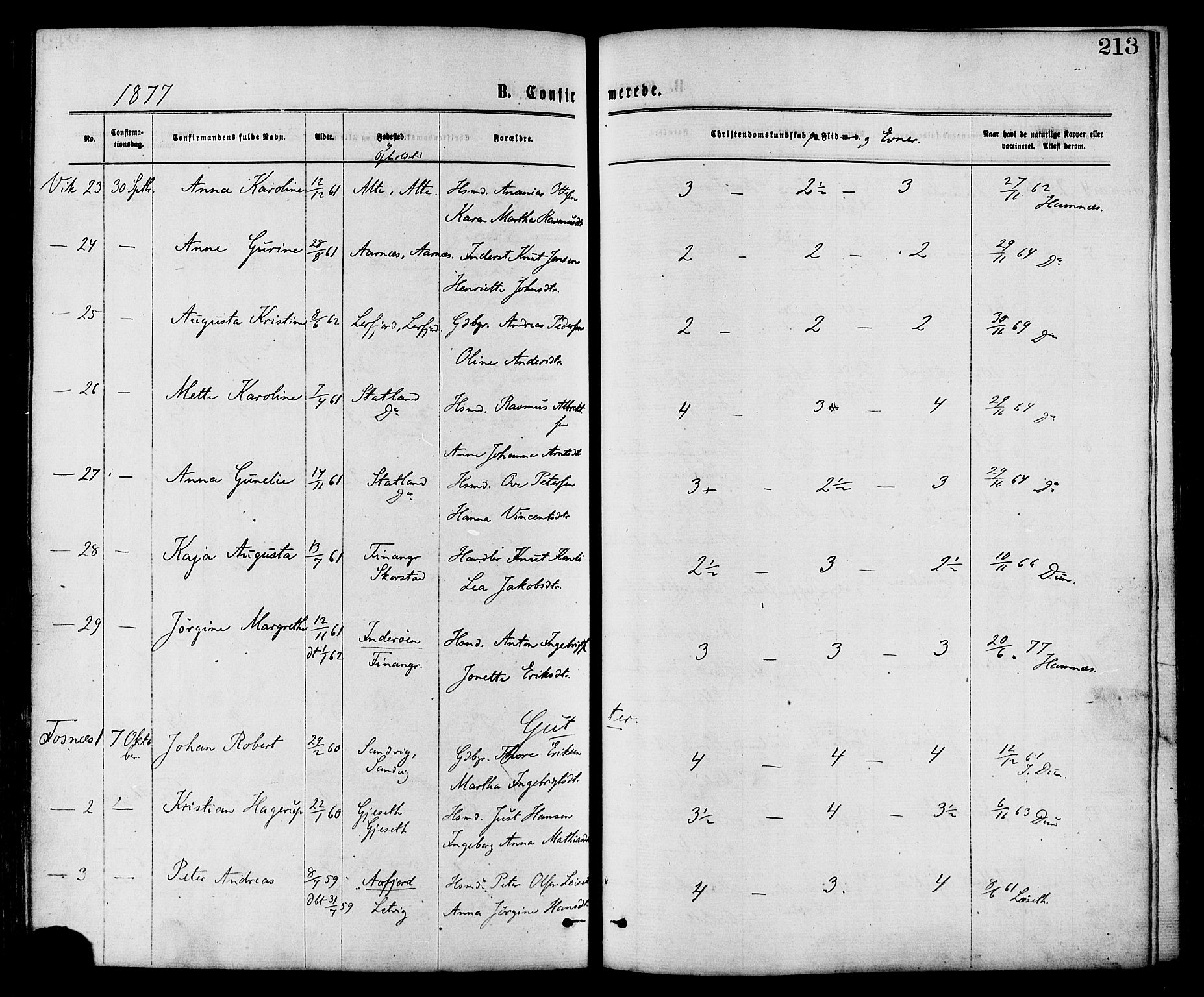 Ministerialprotokoller, klokkerbøker og fødselsregistre - Nord-Trøndelag, SAT/A-1458/773/L0616: Ministerialbok nr. 773A07, 1870-1887, s. 213