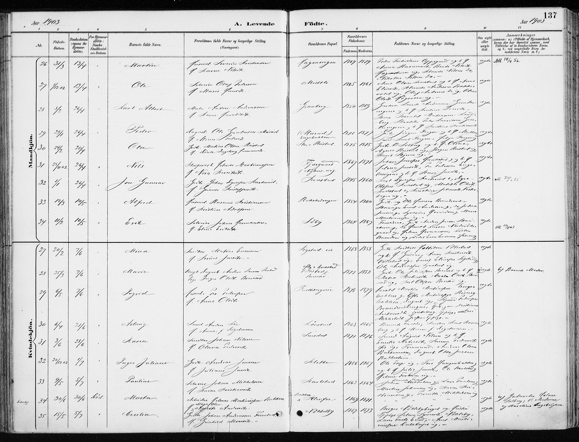 Løten prestekontor, AV/SAH-PREST-022/K/Ka/L0010: Ministerialbok nr. 10, 1892-1907, s. 137
