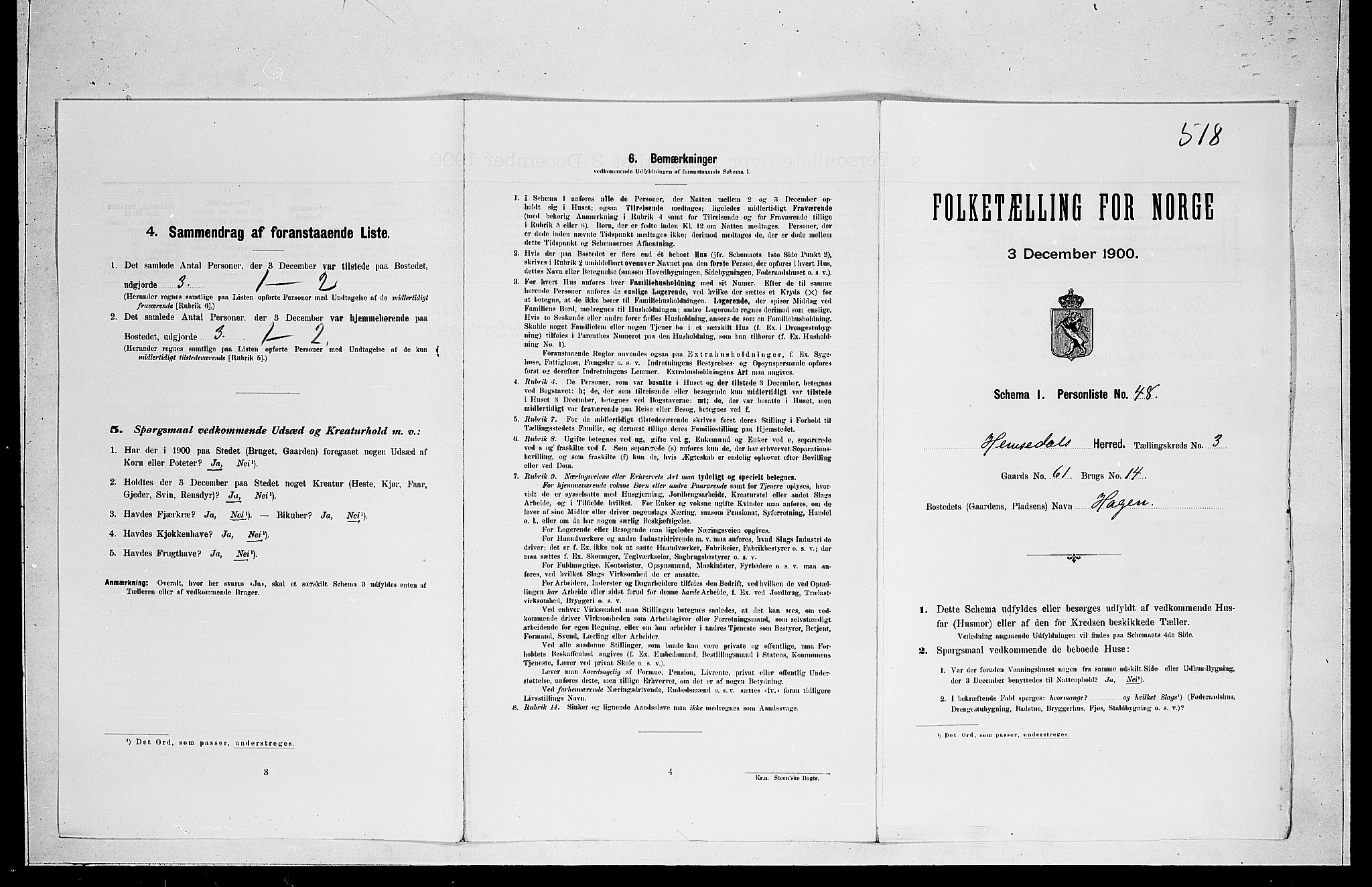 RA, Folketelling 1900 for 0618 Hemsedal herred, 1900, s. 215