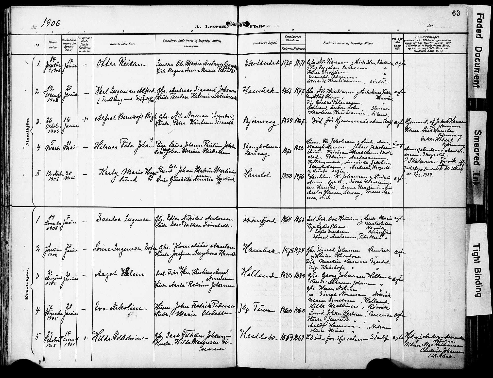 Ministerialprotokoller, klokkerbøker og fødselsregistre - Nordland, AV/SAT-A-1459/859/L0848: Ministerialbok nr. 859A08, 1900-1912, s. 63