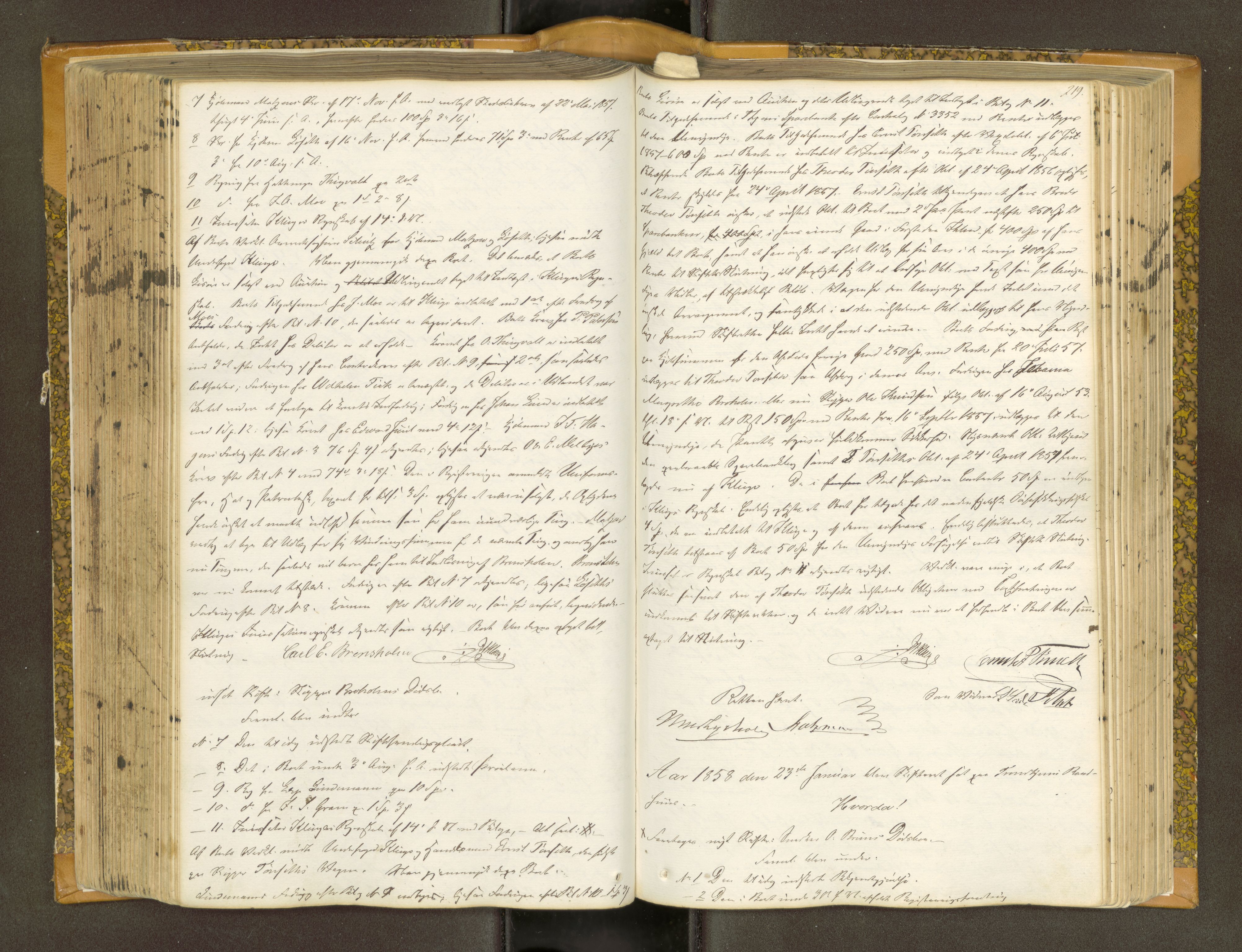Trondheim byfogd, AV/SAT-A-0003/1/3/3B/L0005: Skiftebehandlingsprotokoll (u/ register) gml.nr.29. U, 1851-1859, s. 219