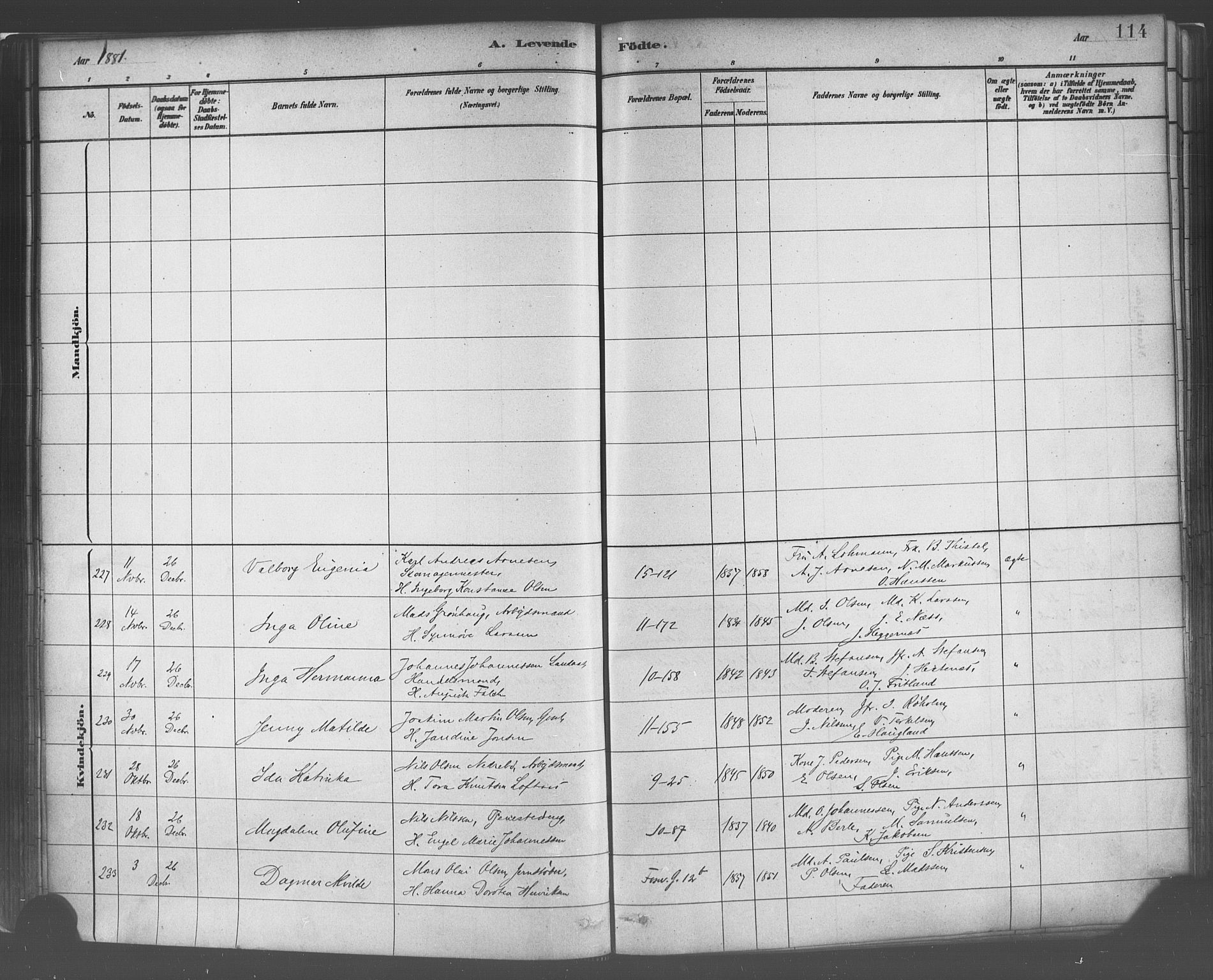 Domkirken sokneprestembete, AV/SAB-A-74801/H/Haa/L0023: Ministerialbok nr. B 6, 1879-1887, s. 114