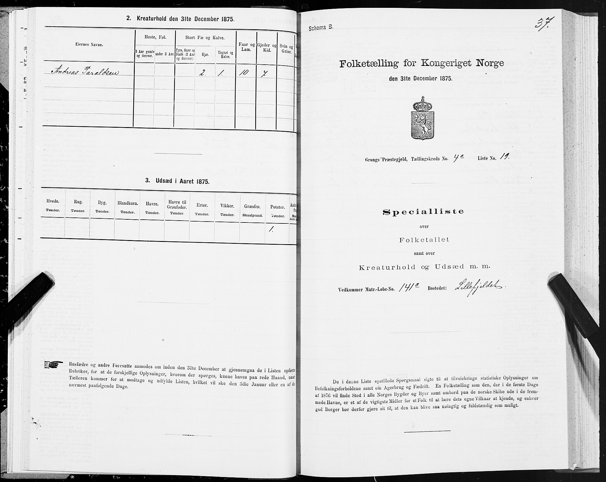 SAT, Folketelling 1875 for 1742P Grong prestegjeld, 1875, s. 3037