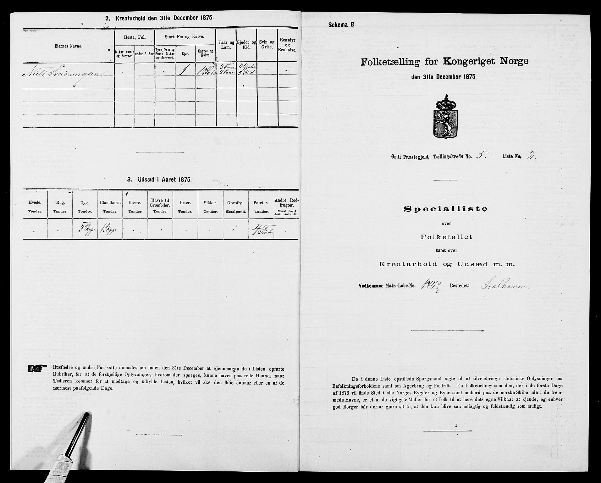 SAK, Folketelling 1875 for 0929P Åmli prestegjeld, 1875, s. 398