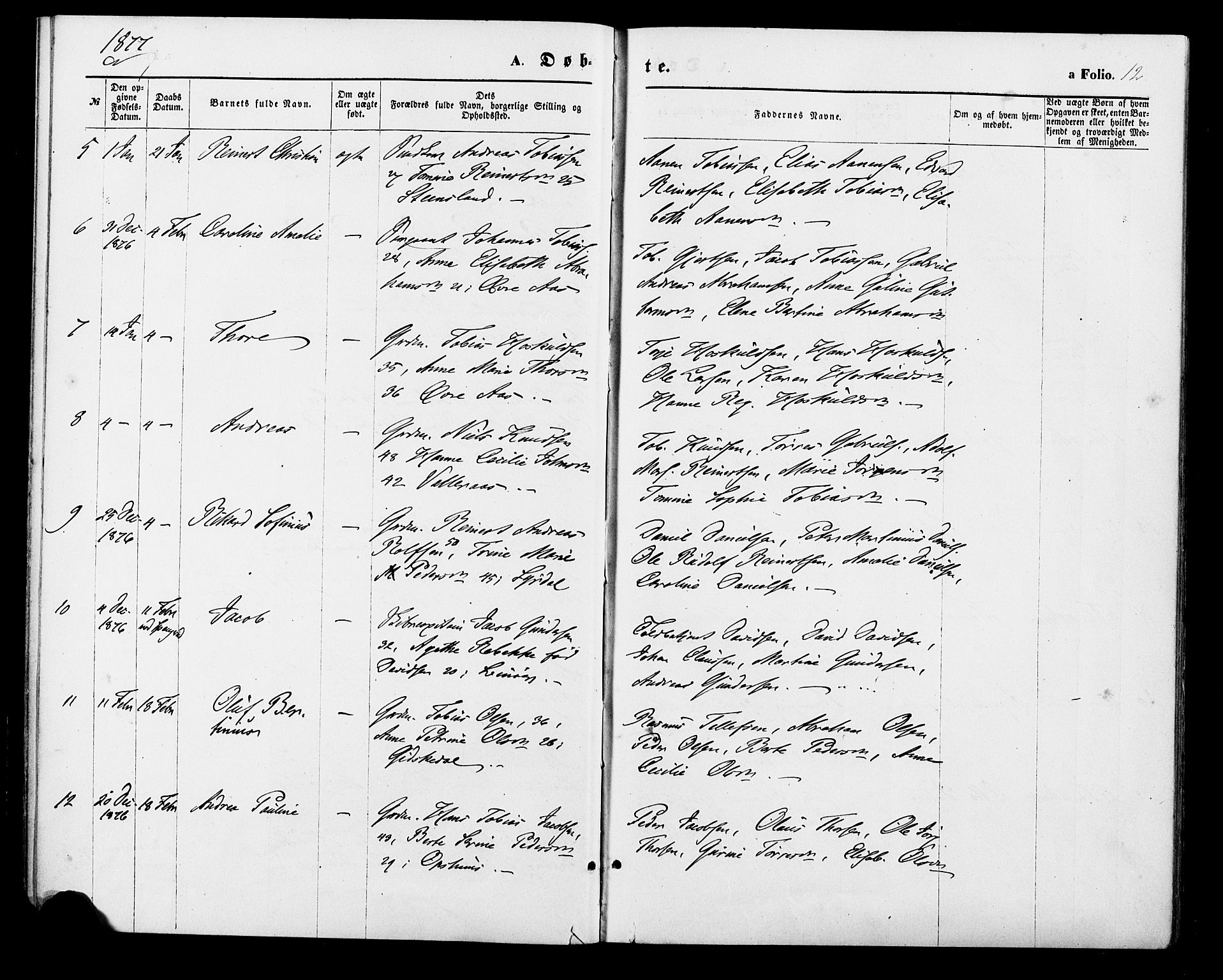 Sør-Audnedal sokneprestkontor, AV/SAK-1111-0039/F/Fa/Fab/L0008: Ministerialbok nr. A 8, 1876-1881, s. 12