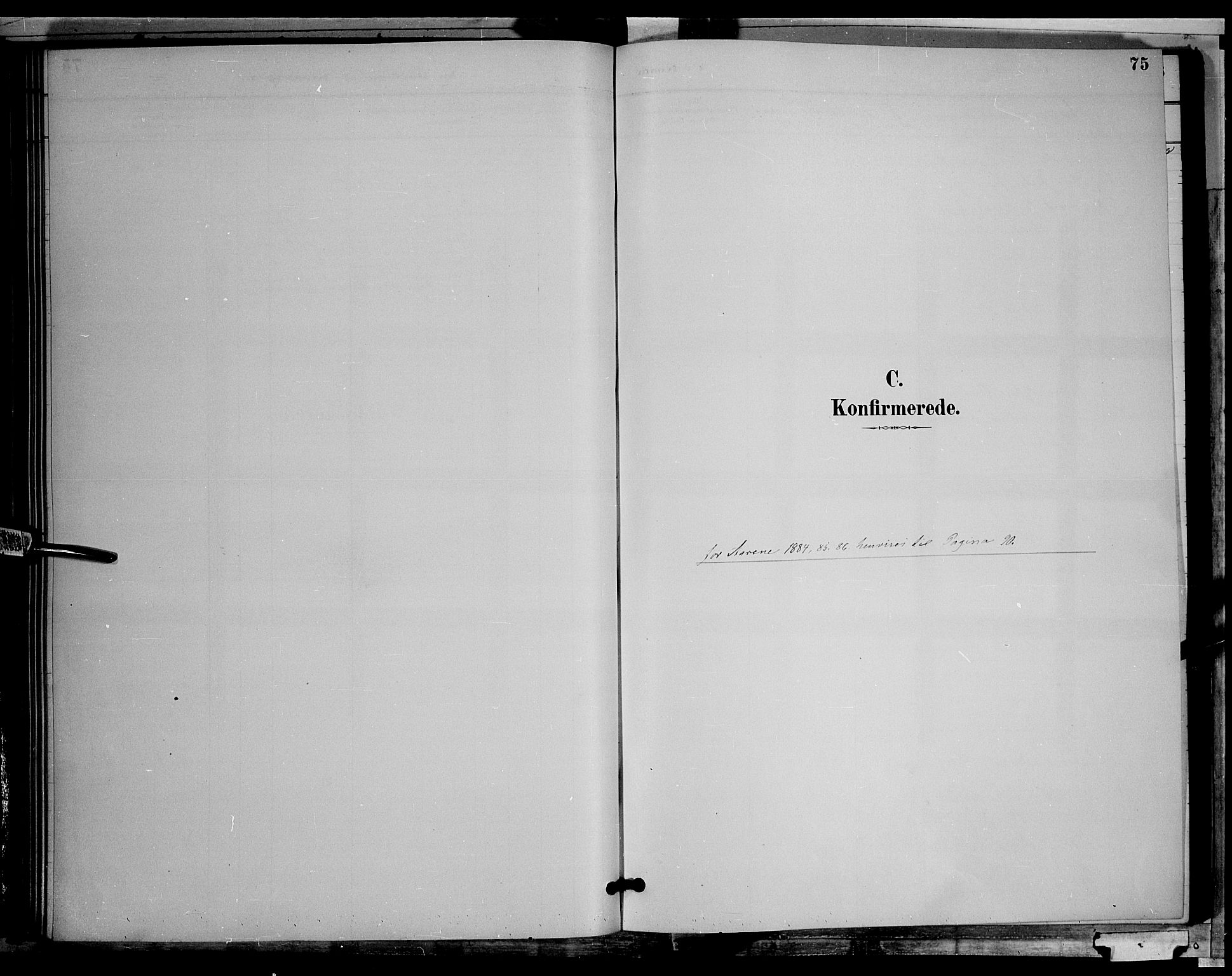 Søndre Land prestekontor, AV/SAH-PREST-122/L/L0002: Klokkerbok nr. 2, 1884-1900, s. 75