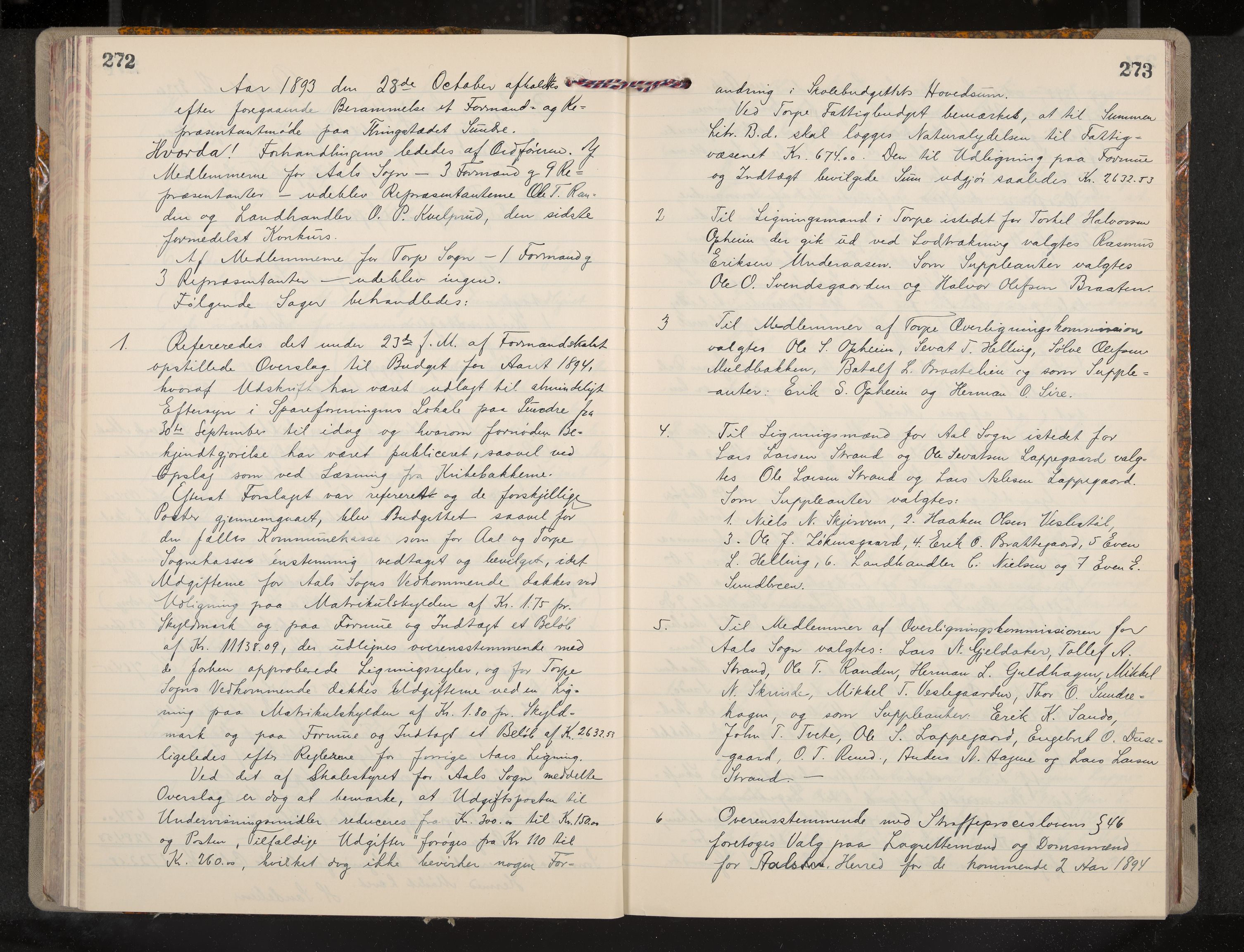 Ål formannskap og sentraladministrasjon, IKAK/0619021/A/Aa/L0004: Utskrift av møtebok, 1881-1901, s. 272-273