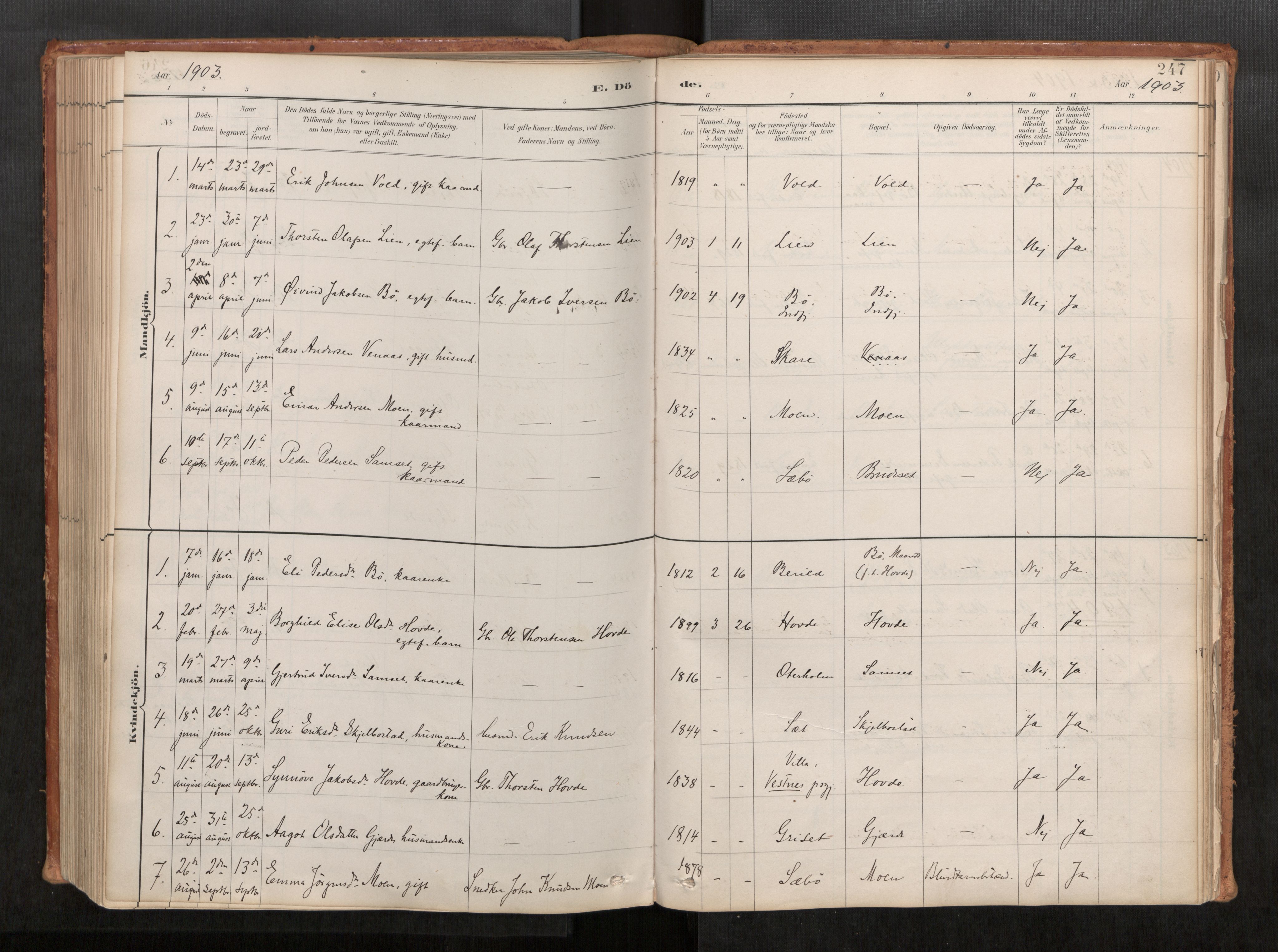 Ministerialprotokoller, klokkerbøker og fødselsregistre - Møre og Romsdal, AV/SAT-A-1454/543/L0568: Ministerialbok nr. 543A03, 1885-1915, s. 247