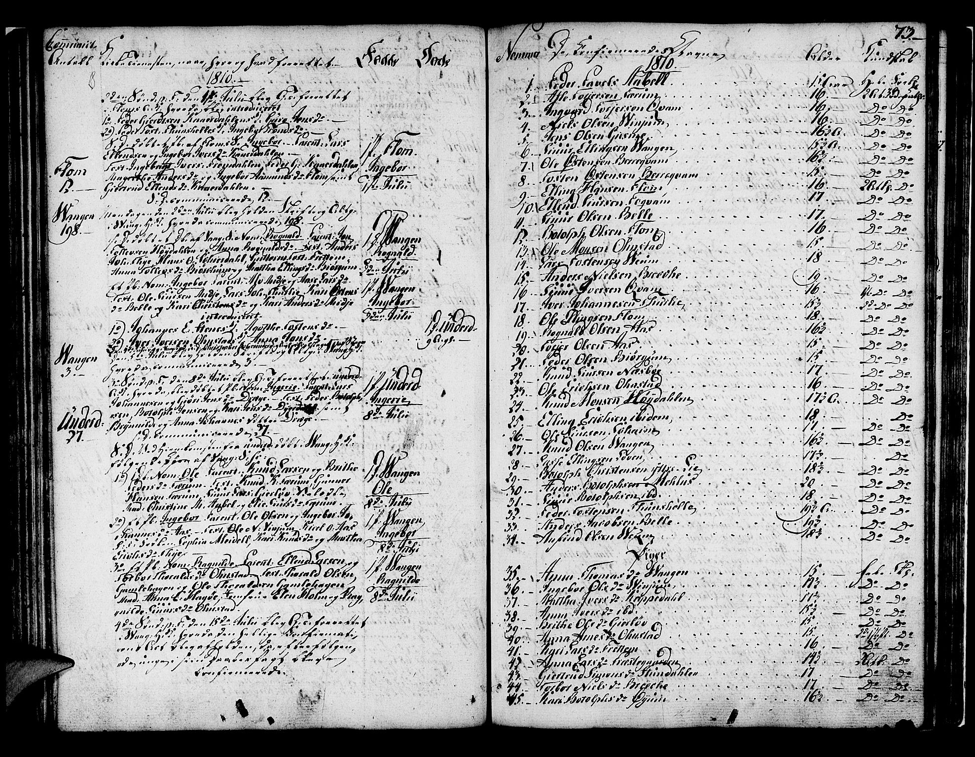 Aurland sokneprestembete, AV/SAB-A-99937/H/Ha/Haa/L0005: Ministerialbok nr. A 5, 1801-1821, s. 73