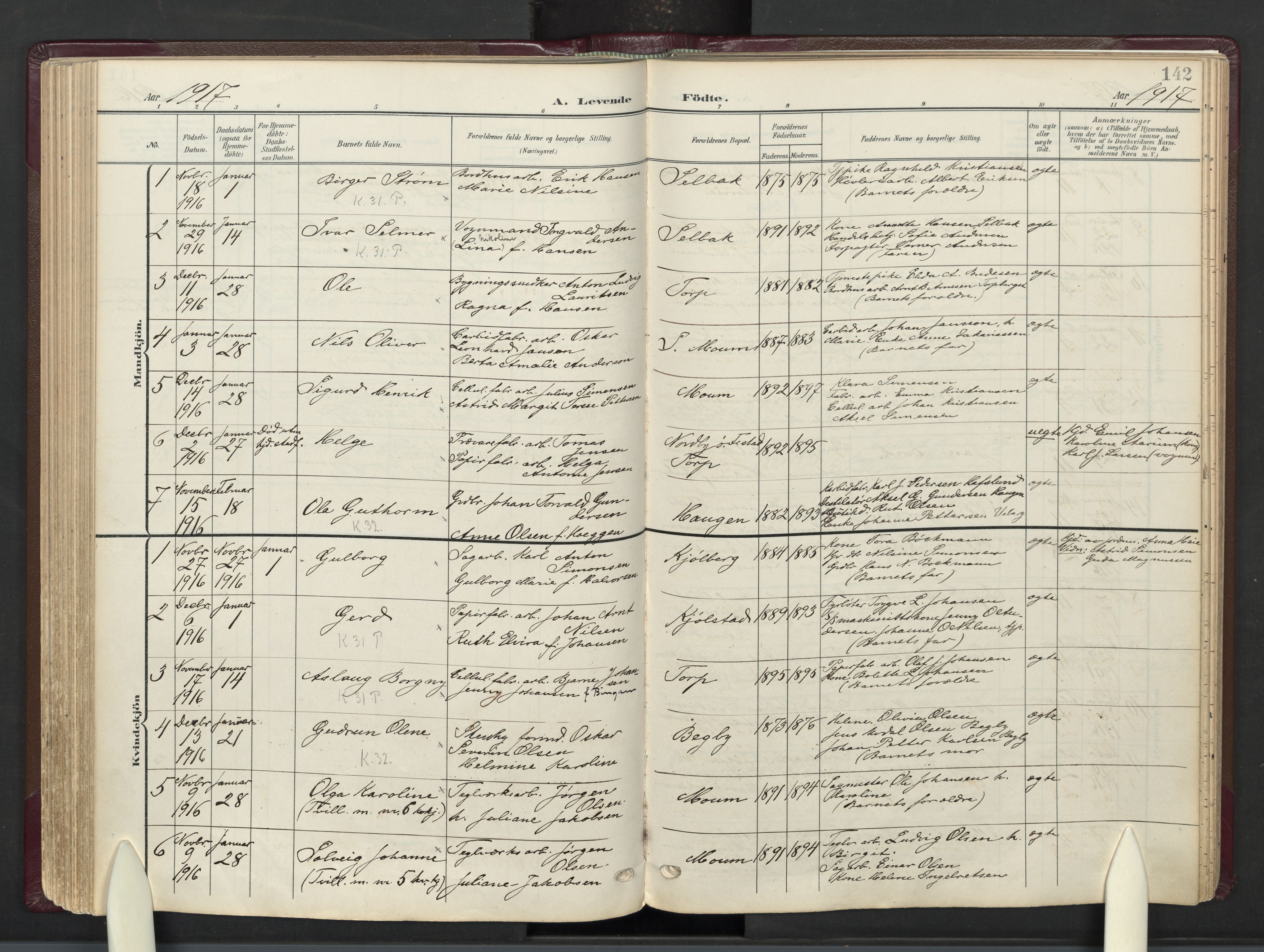 Borge prestekontor Kirkebøker, AV/SAO-A-10903/F/Fa/L0010: Ministerialbok nr. I 10, 1907-1925, s. 142