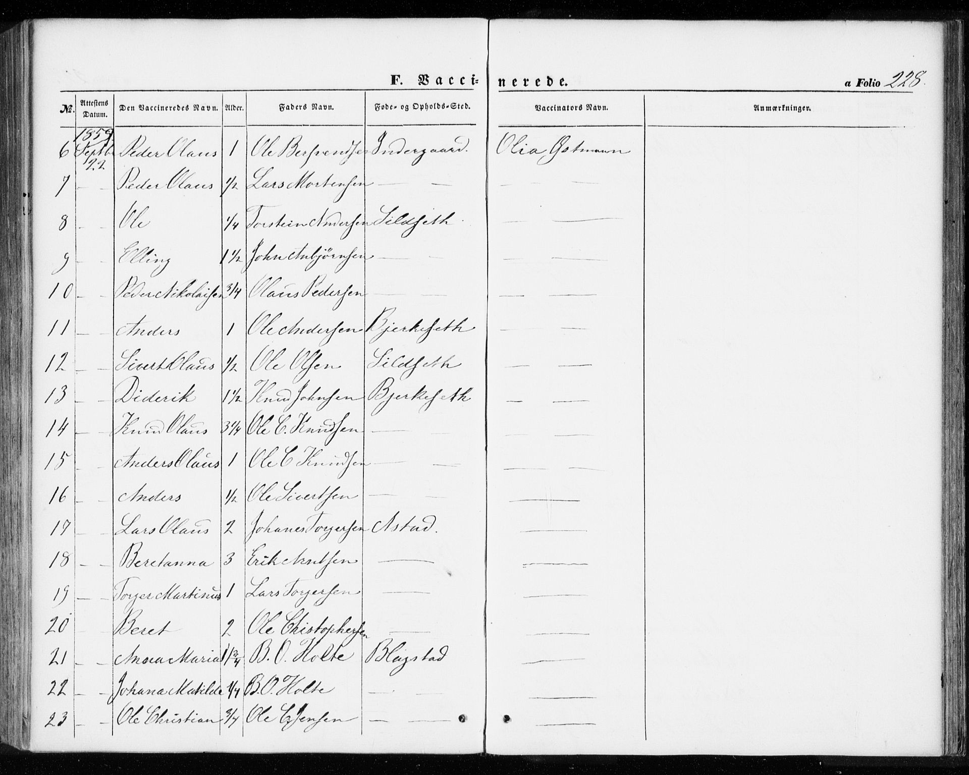 Ministerialprotokoller, klokkerbøker og fødselsregistre - Møre og Romsdal, AV/SAT-A-1454/584/L0965: Ministerialbok nr. 584A05, 1857-1868, s. 228