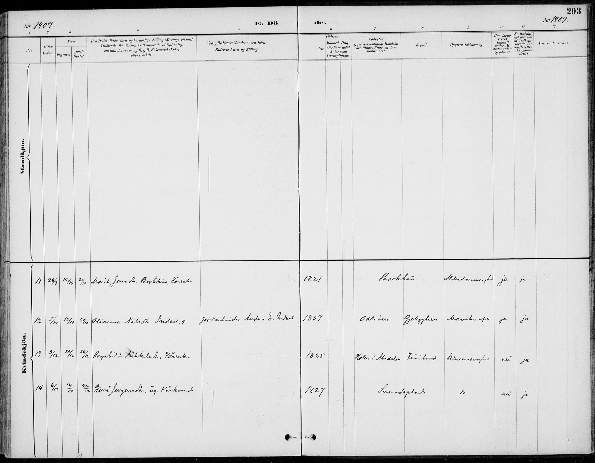 Alvdal prestekontor, SAH/PREST-060/H/Ha/Haa/L0003: Ministerialbok nr. 3, 1886-1912, s. 293