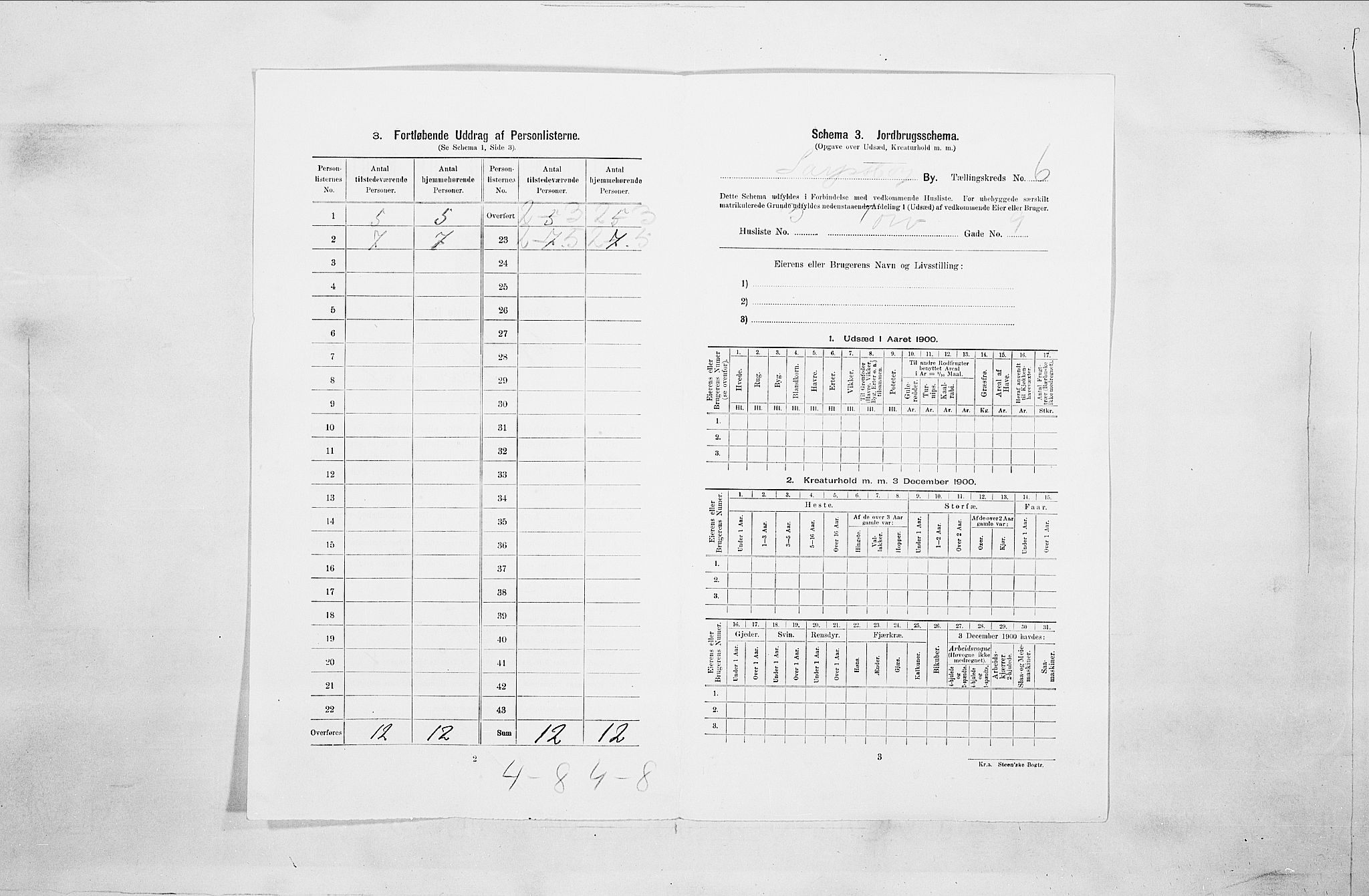 SAO, Folketelling 1900 for 0102 Sarpsborg kjøpstad, 1900