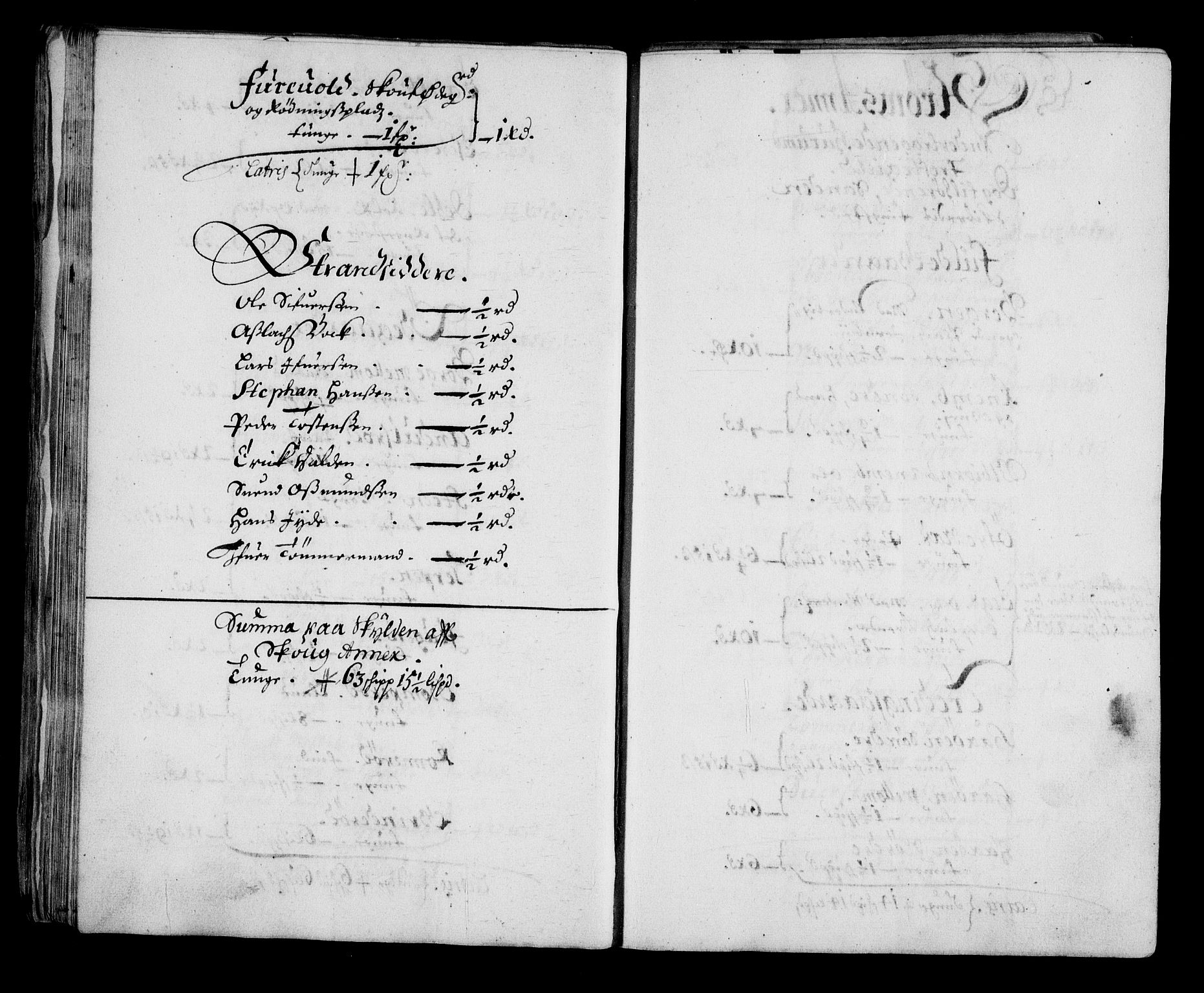 Rentekammeret inntil 1814, Realistisk ordnet avdeling, AV/RA-EA-4070/N/Na/L0003/0001: [XI h]: Tønsbergs amt og Larvik grevskaps jordebøker: / (A) Leilendigsskatt inkl. håndverkere, husmenn og strandsittere, samt Griffenfelds jordegods i Larvik grevskap., 1674