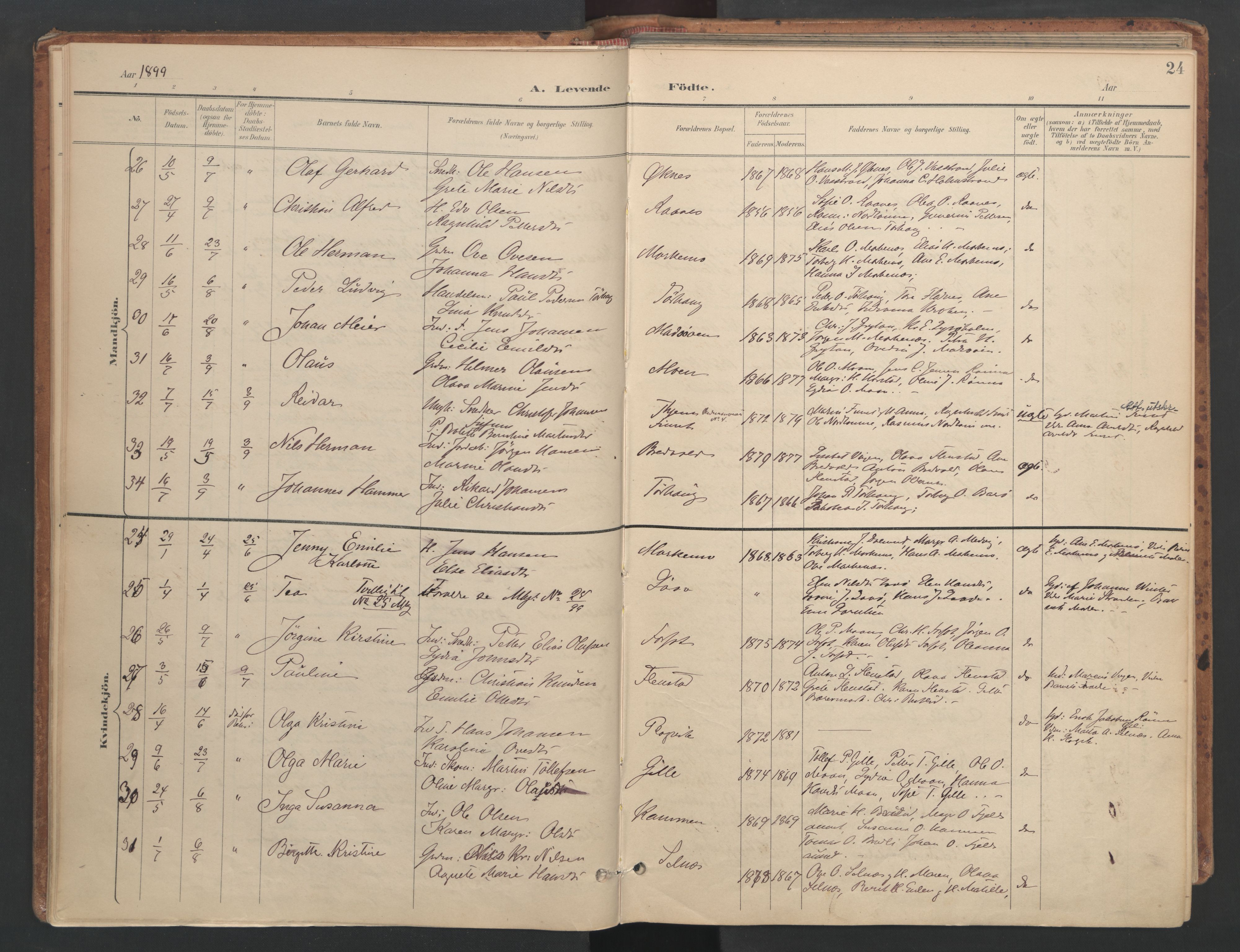 Ministerialprotokoller, klokkerbøker og fødselsregistre - Sør-Trøndelag, SAT/A-1456/655/L0681: Ministerialbok nr. 655A10, 1895-1907, s. 24