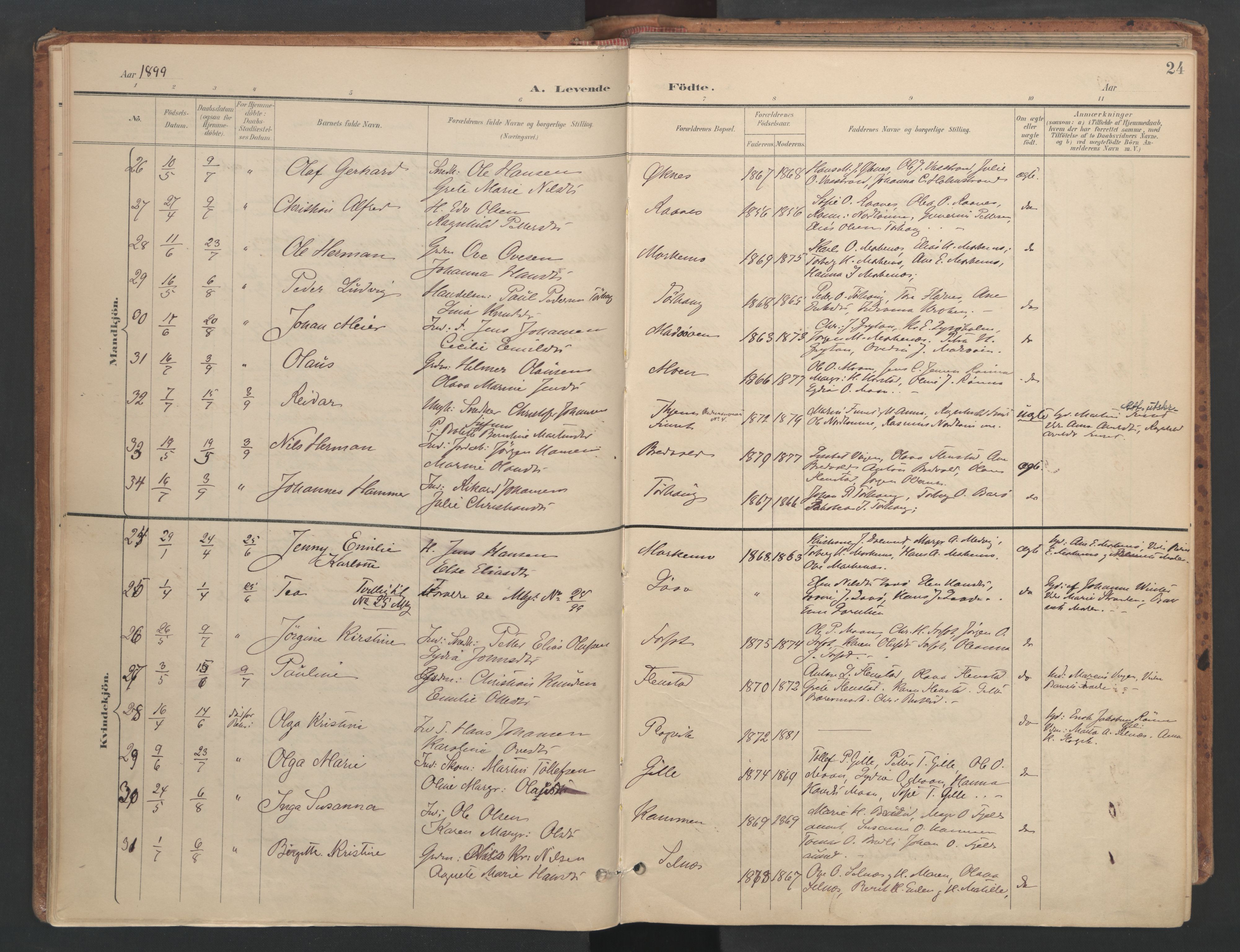 Ministerialprotokoller, klokkerbøker og fødselsregistre - Sør-Trøndelag, AV/SAT-A-1456/655/L0681: Ministerialbok nr. 655A10, 1895-1907, s. 24