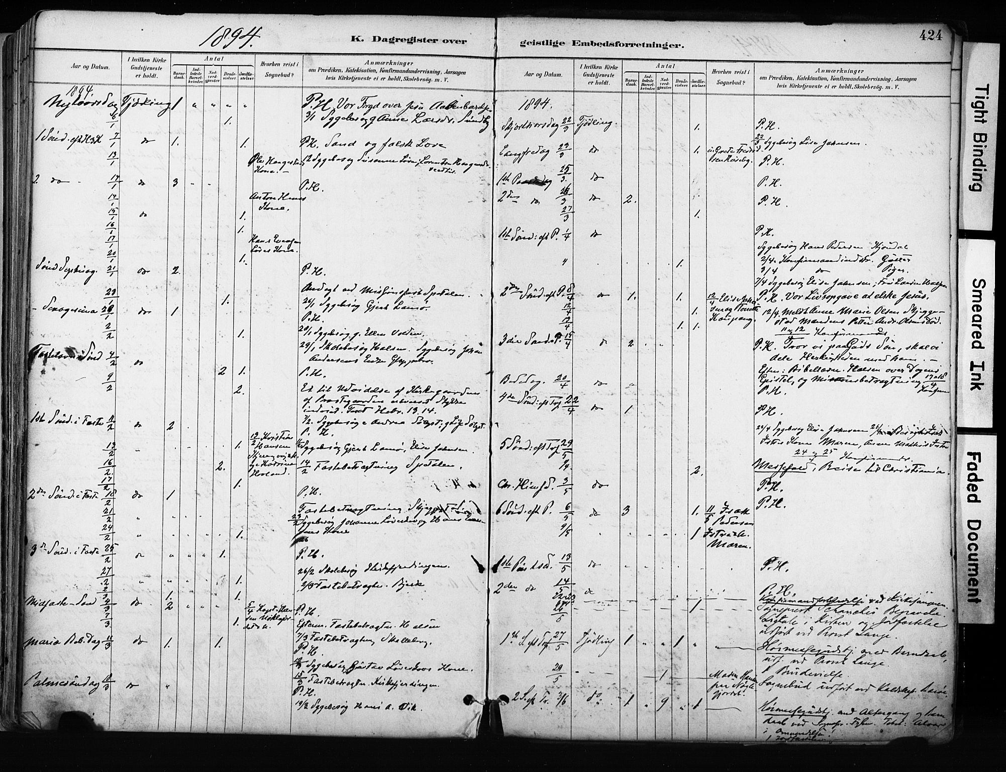 Tjølling kirkebøker, AV/SAKO-A-60/F/Fa/L0009: Ministerialbok nr. 9, 1887-1905, s. 424