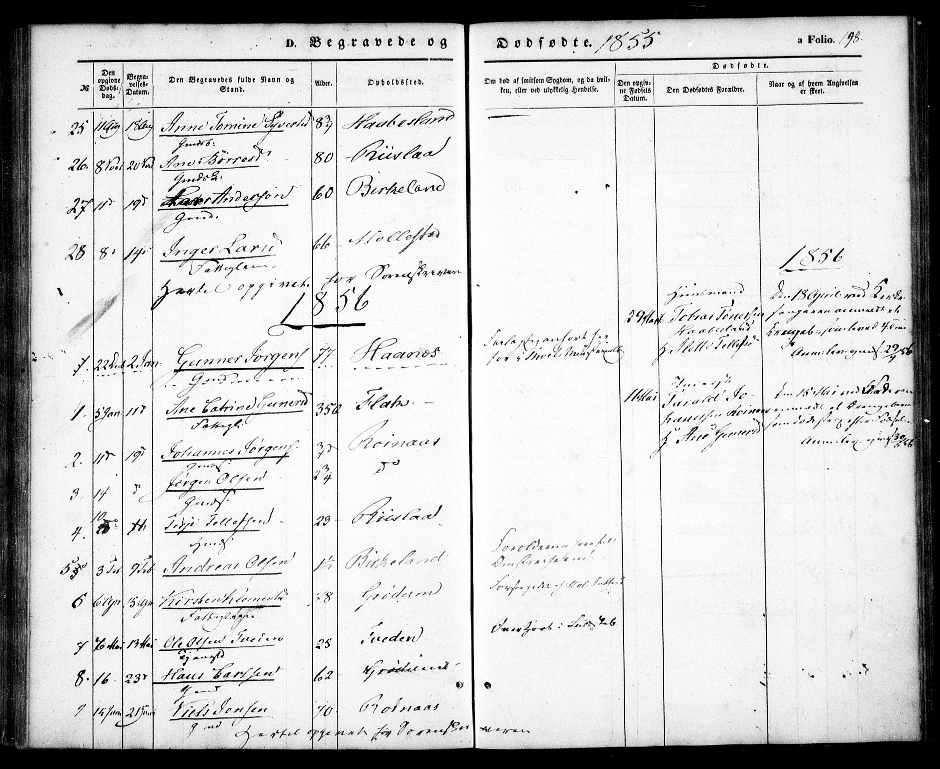 Birkenes sokneprestkontor, SAK/1111-0004/F/Fa/L0003: Ministerialbok nr. A 3, 1850-1866, s. 198