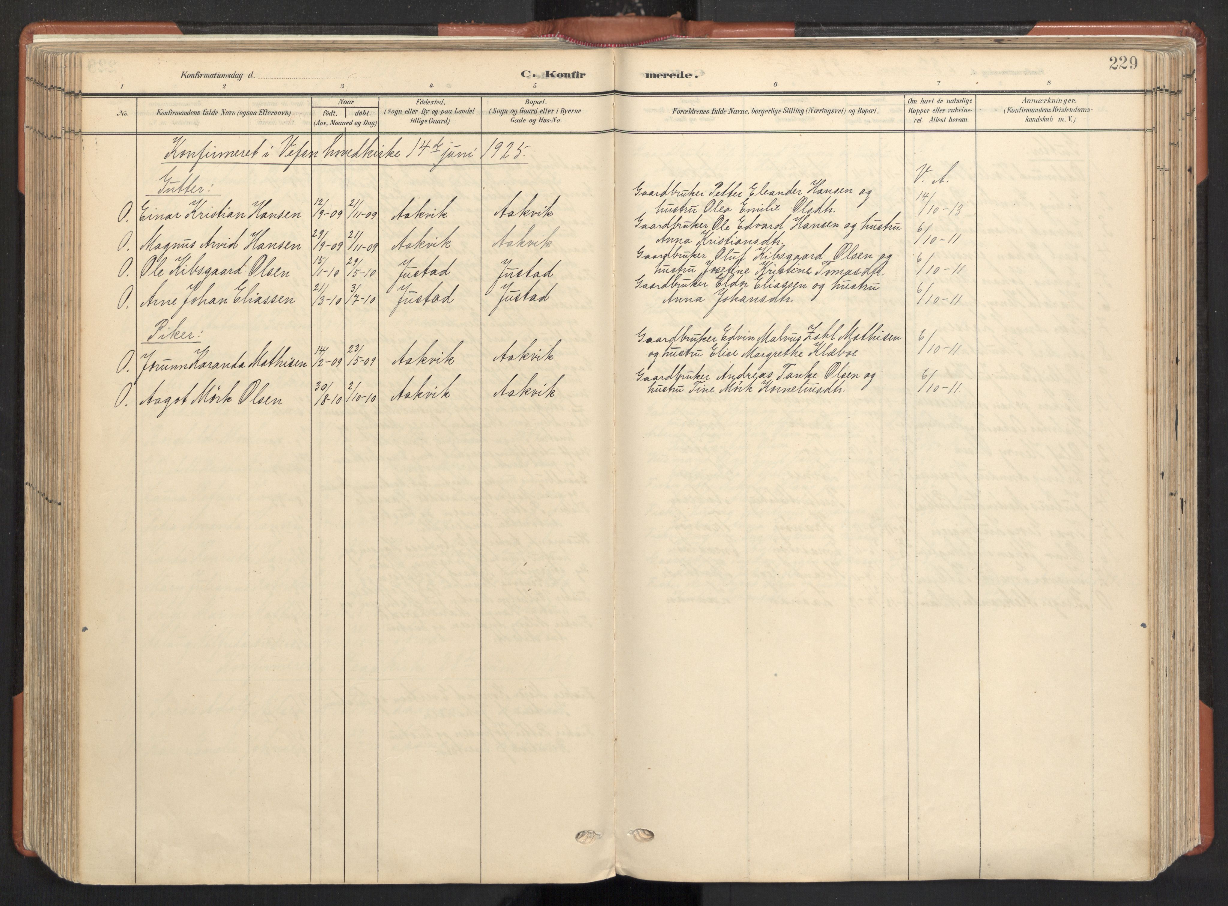 Ministerialprotokoller, klokkerbøker og fødselsregistre - Nordland, AV/SAT-A-1459/817/L0265: Ministerialbok nr. 817A05, 1908-1944, s. 229