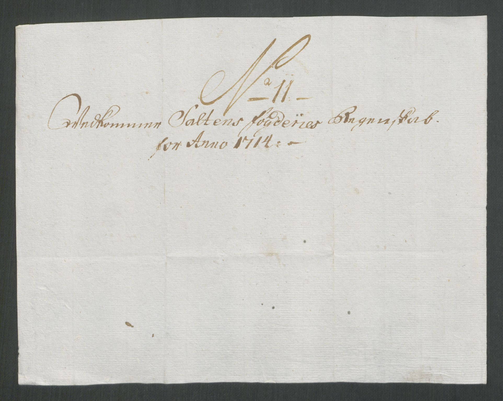 Rentekammeret inntil 1814, Reviderte regnskaper, Fogderegnskap, RA/EA-4092/R66/L4584: Fogderegnskap Salten, 1714, s. 107