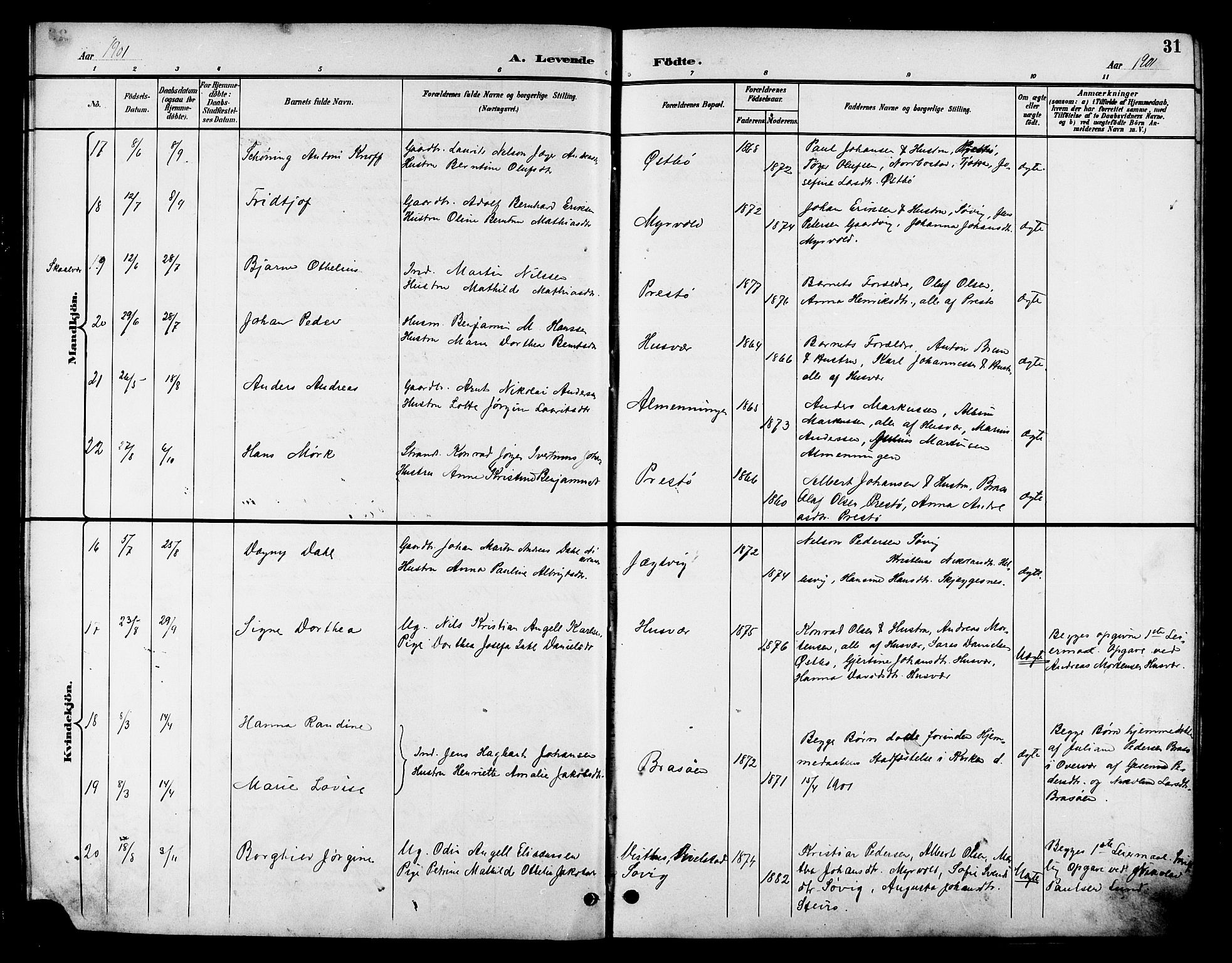 Ministerialprotokoller, klokkerbøker og fødselsregistre - Nordland, SAT/A-1459/830/L0463: Klokkerbok nr. 830C05, 1895-1906, s. 31