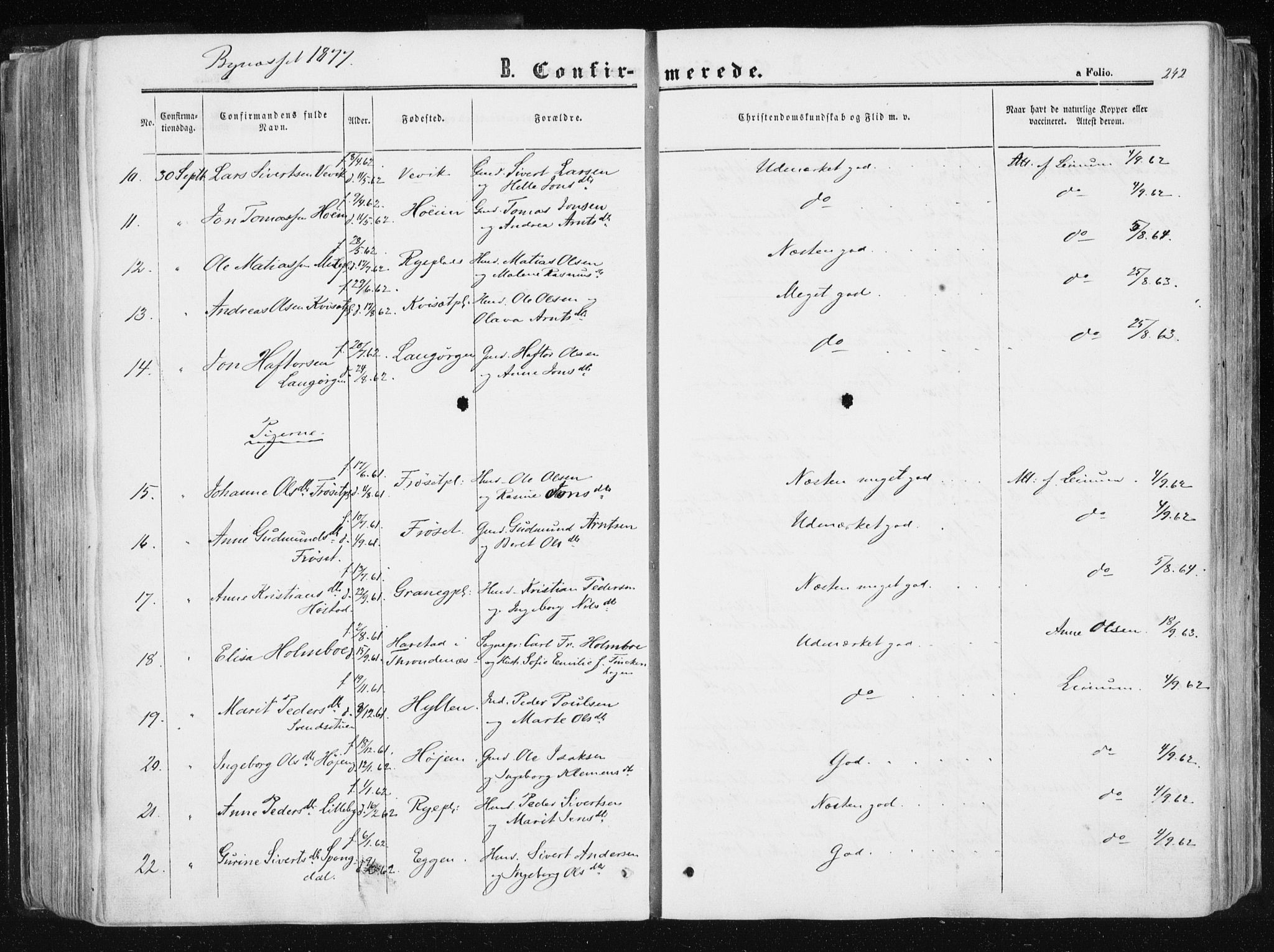 Ministerialprotokoller, klokkerbøker og fødselsregistre - Sør-Trøndelag, SAT/A-1456/612/L0377: Ministerialbok nr. 612A09, 1859-1877, s. 242